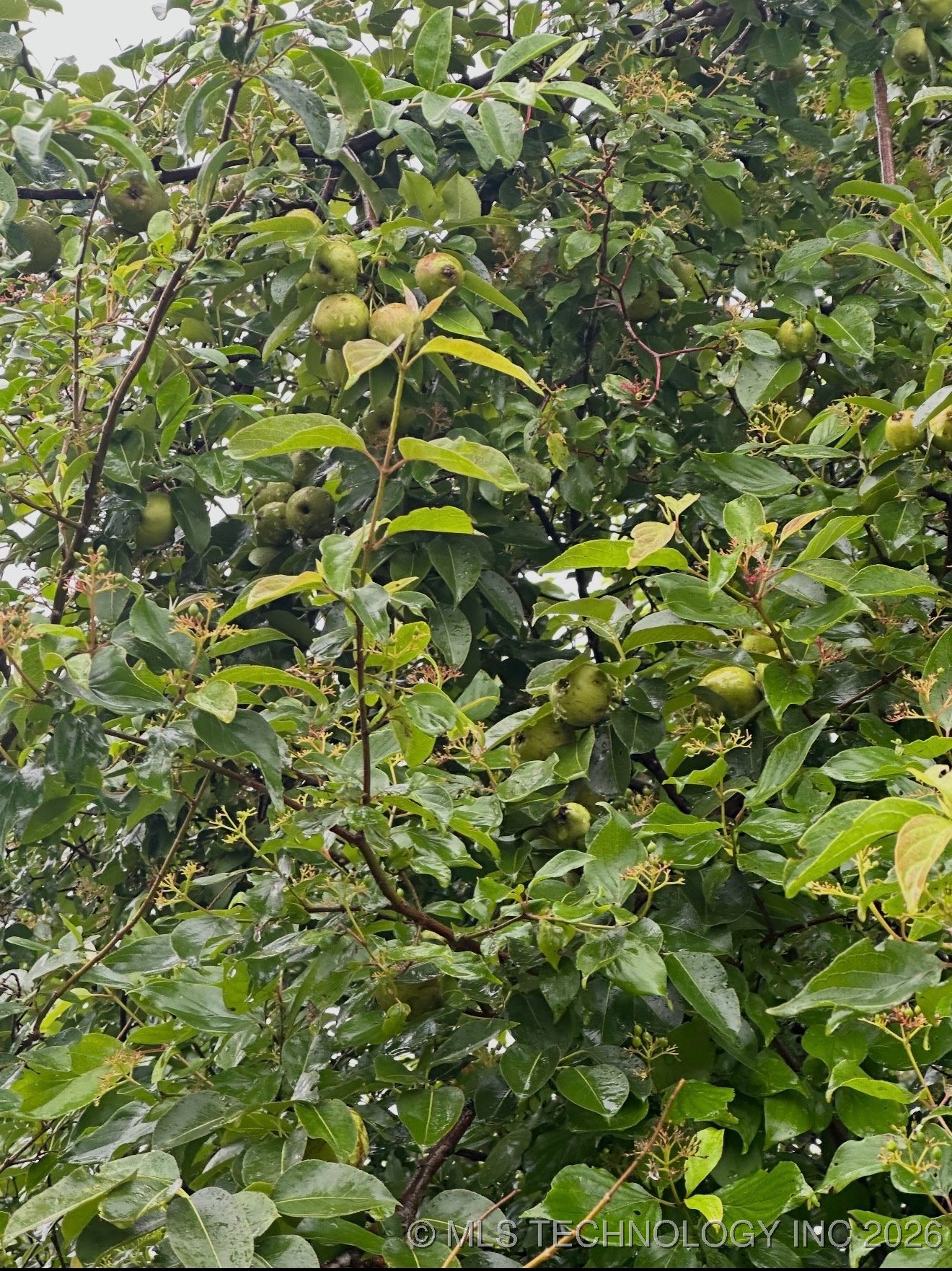 2721 E 61st Street N Property Photo 18