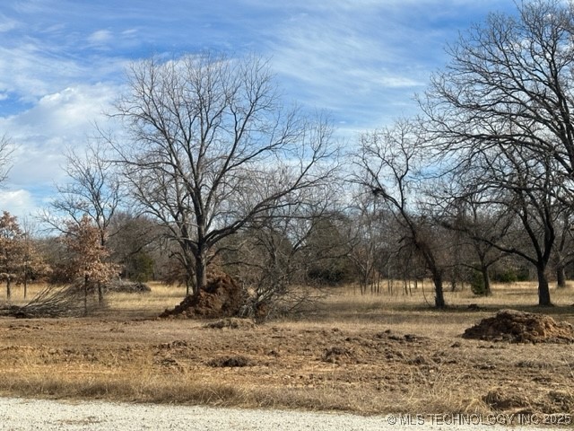 20 Royalty Court Property Photo 5