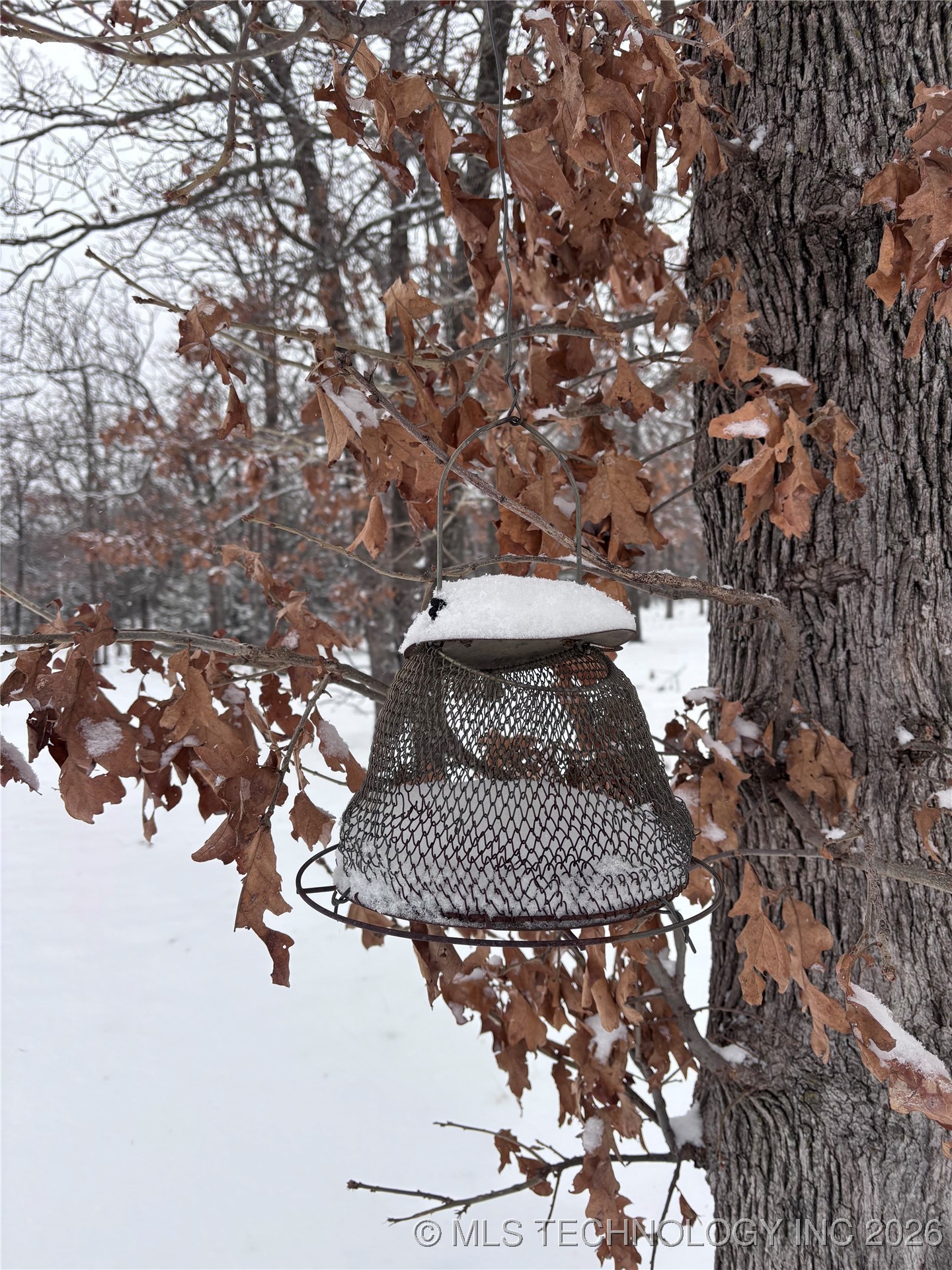 2545123 Property Photo 33