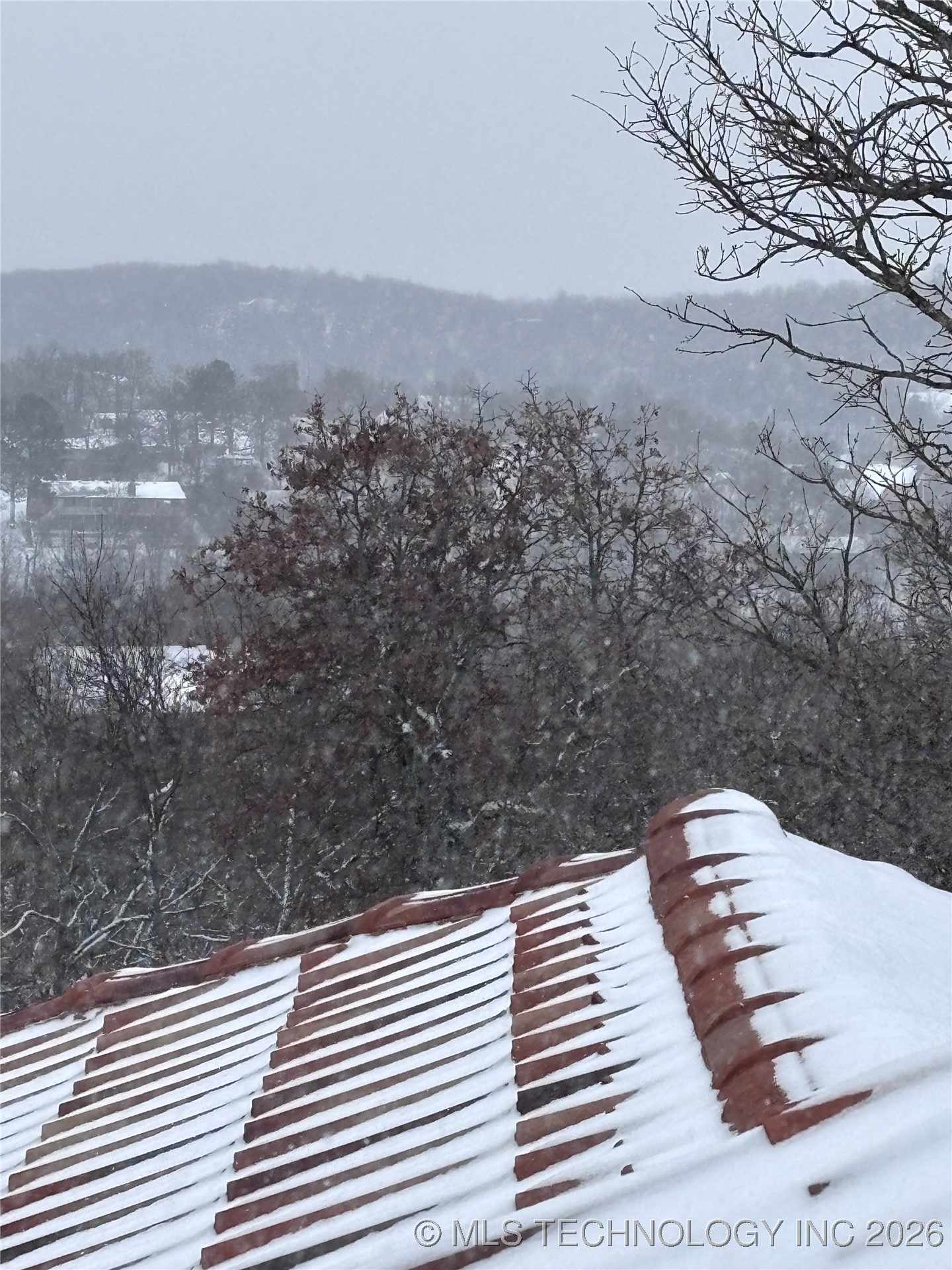 2545123 Property Photo 34