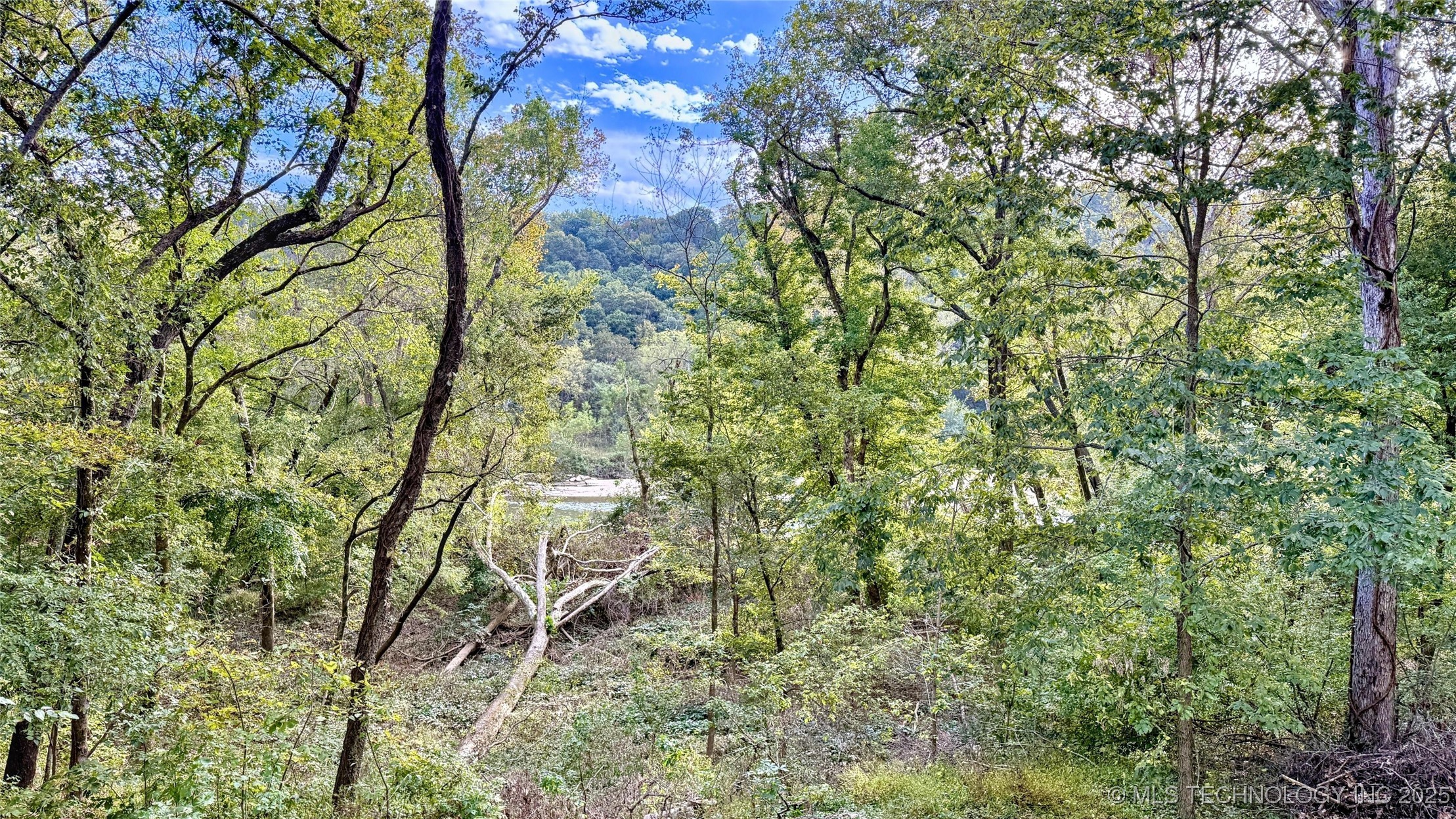 462436 Riverside Drive Property Photo 33