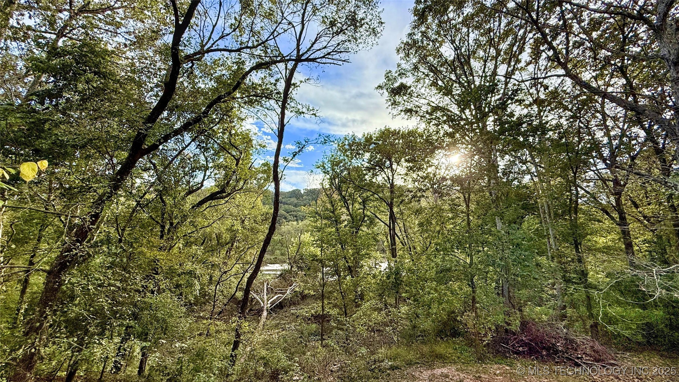 462436 Riverside Drive Property Photo 44