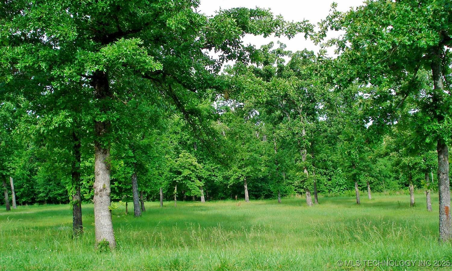 1280 Watercolor Drive Property Photo 8