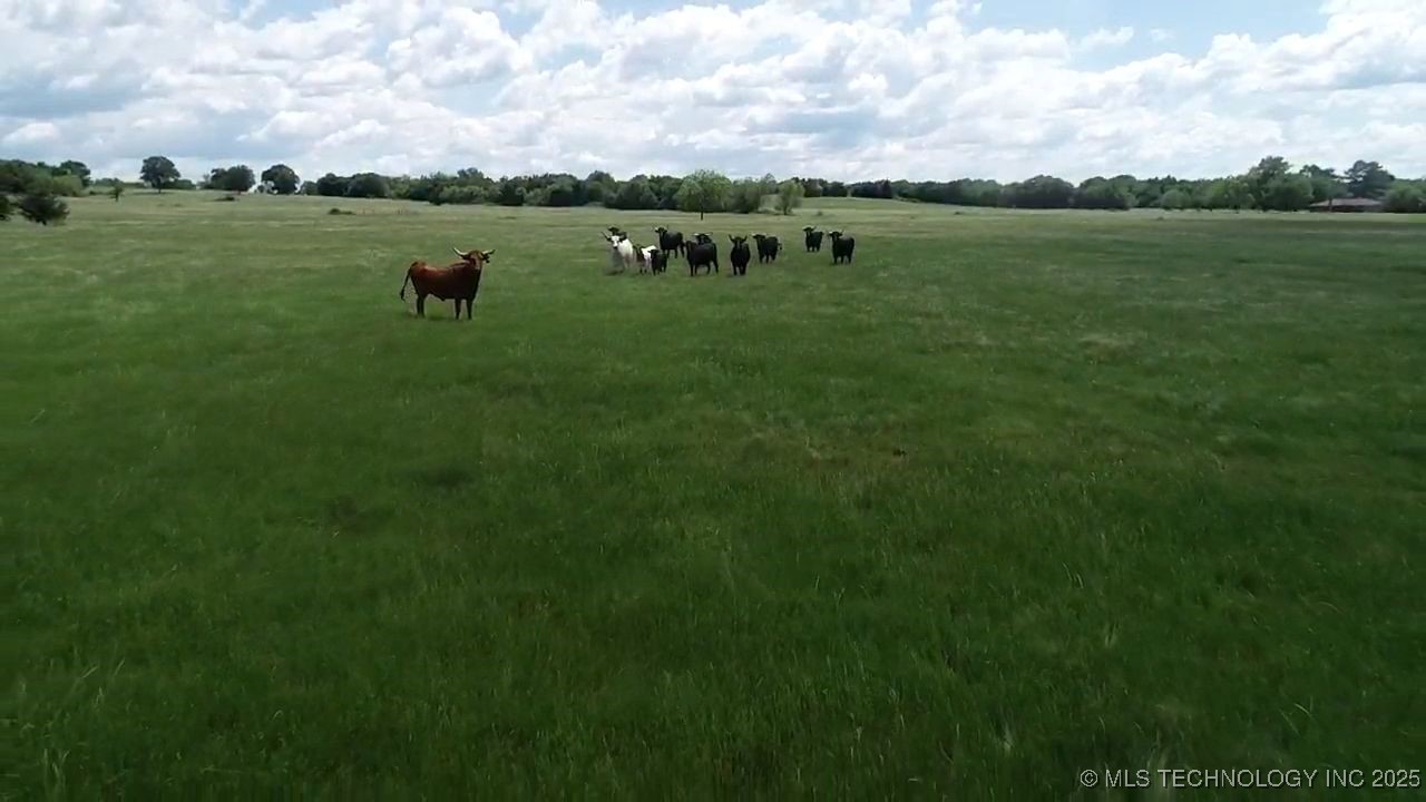 000 Armstrong Academy Road Property Photo 8