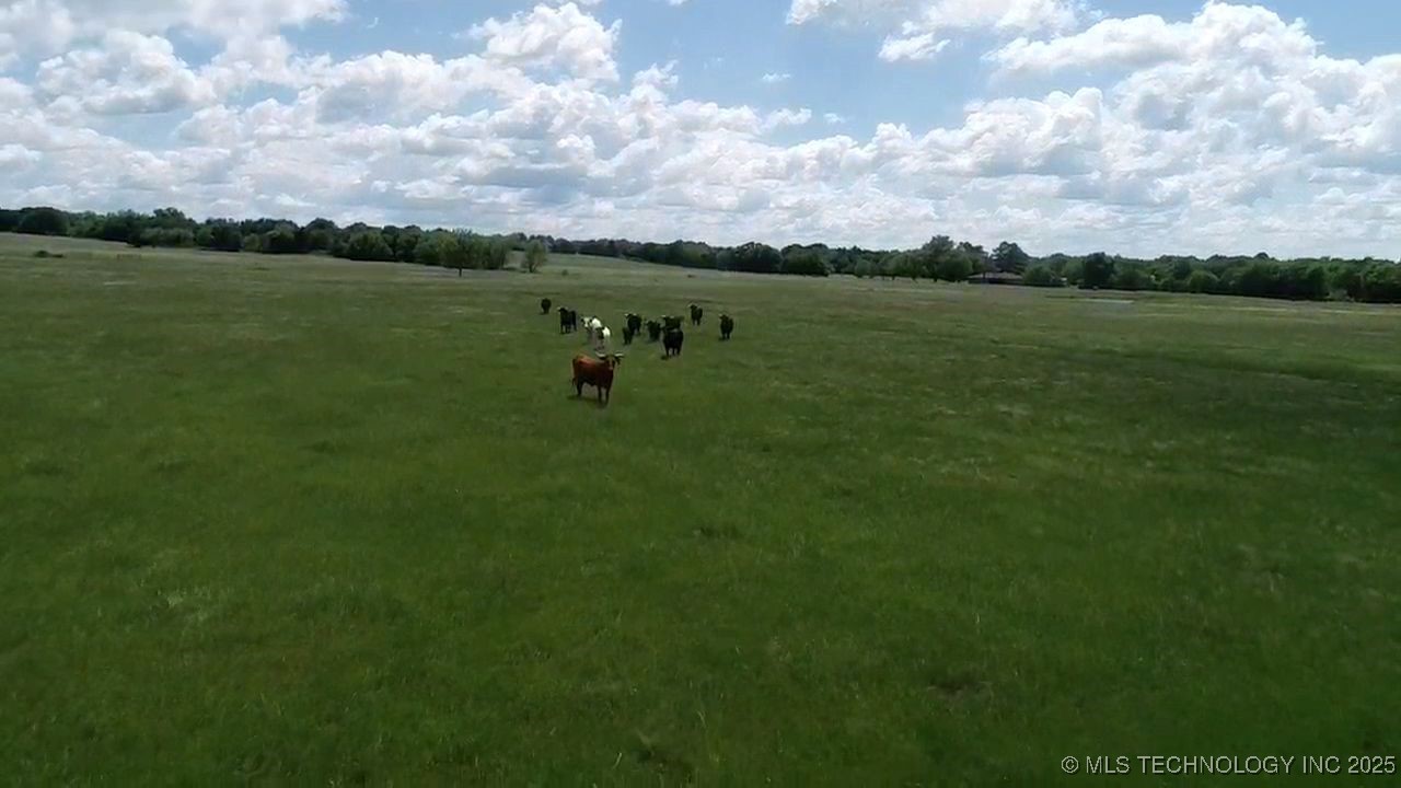 000 Armstrong Academy Road Property Photo 9