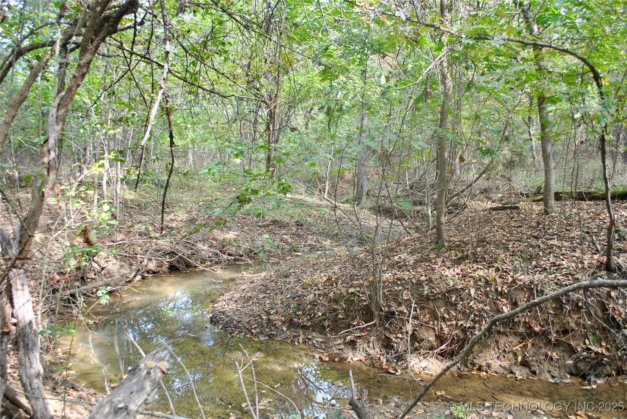 3506 Sawmill Road Property Photo 2