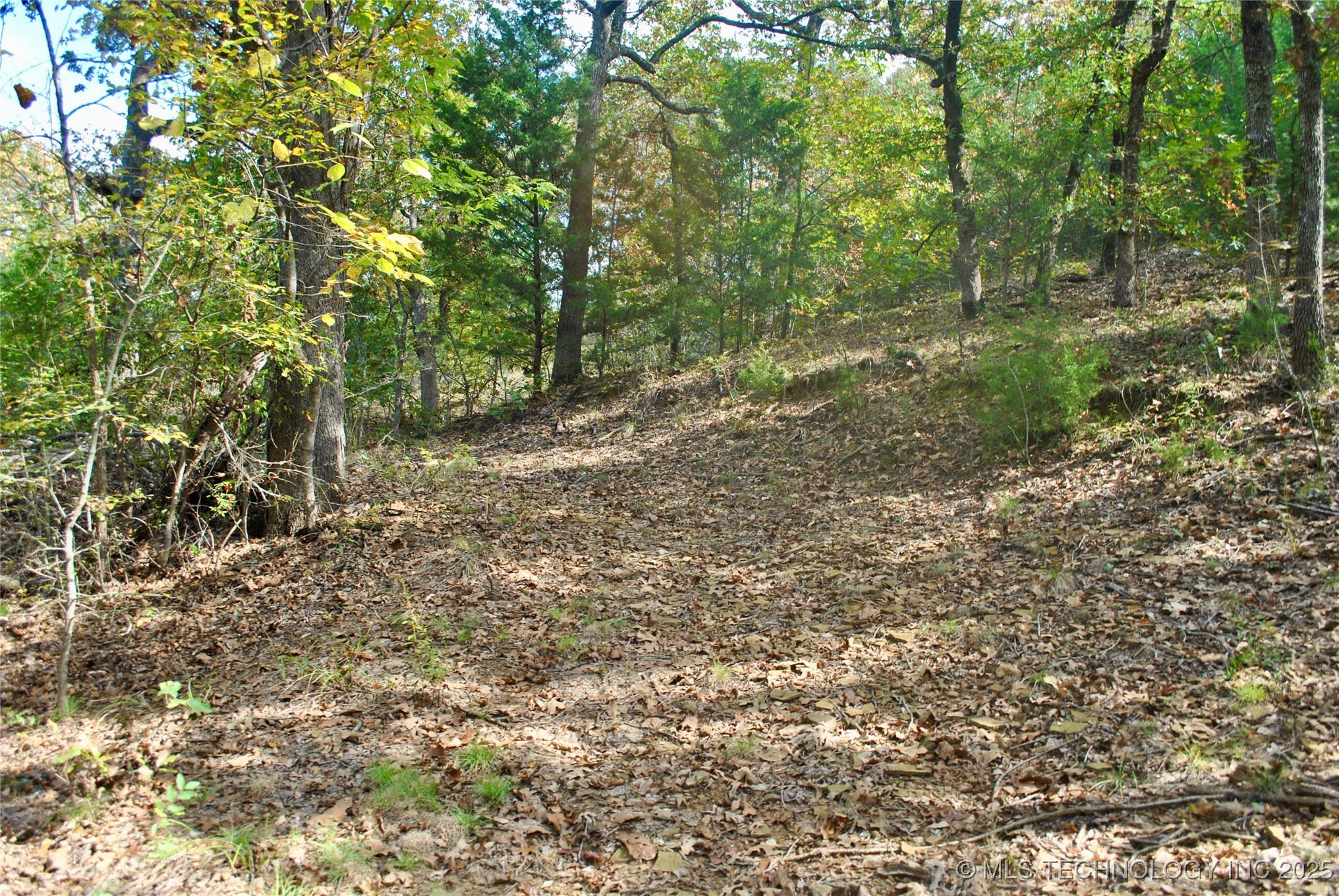 3506 Sawmill Road Property Photo 4