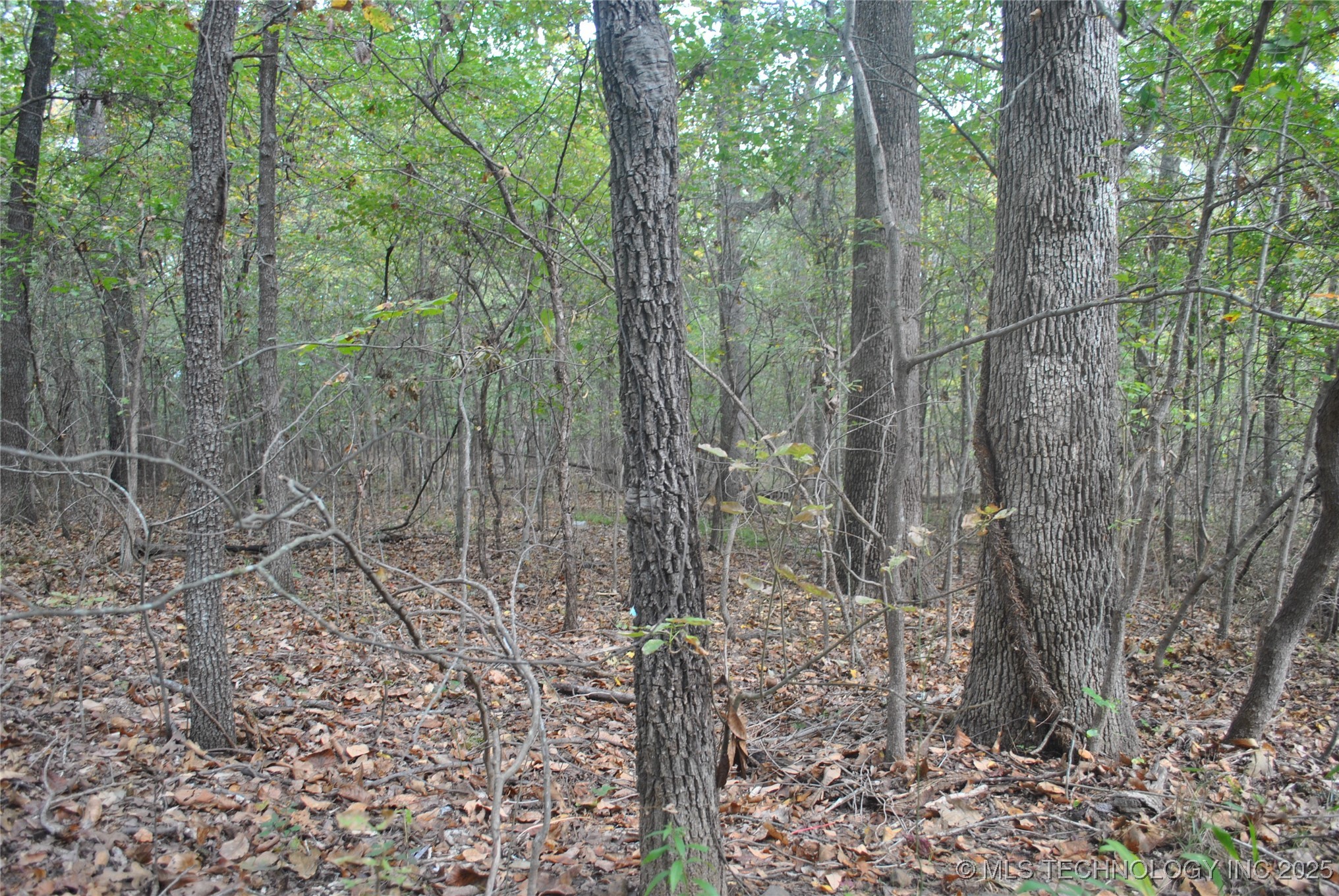 3506 Sawmill Road Property Photo 6