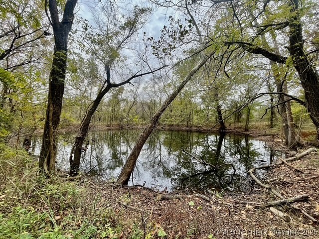 32782 S 4310 Road Property Photo 4