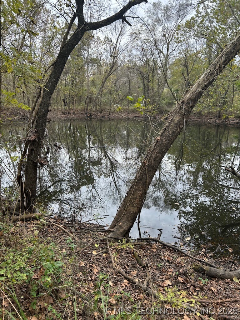 32782 S 4310 Road Property Photo 6