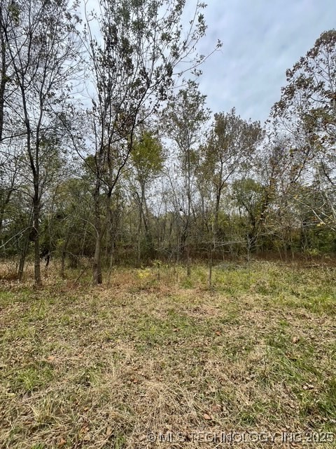 32782 S 4310 Road Property Photo 10