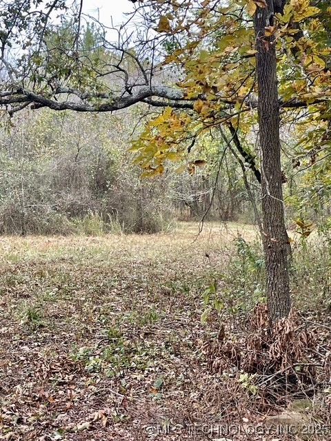 32782 S 4310 Road Property Photo 14