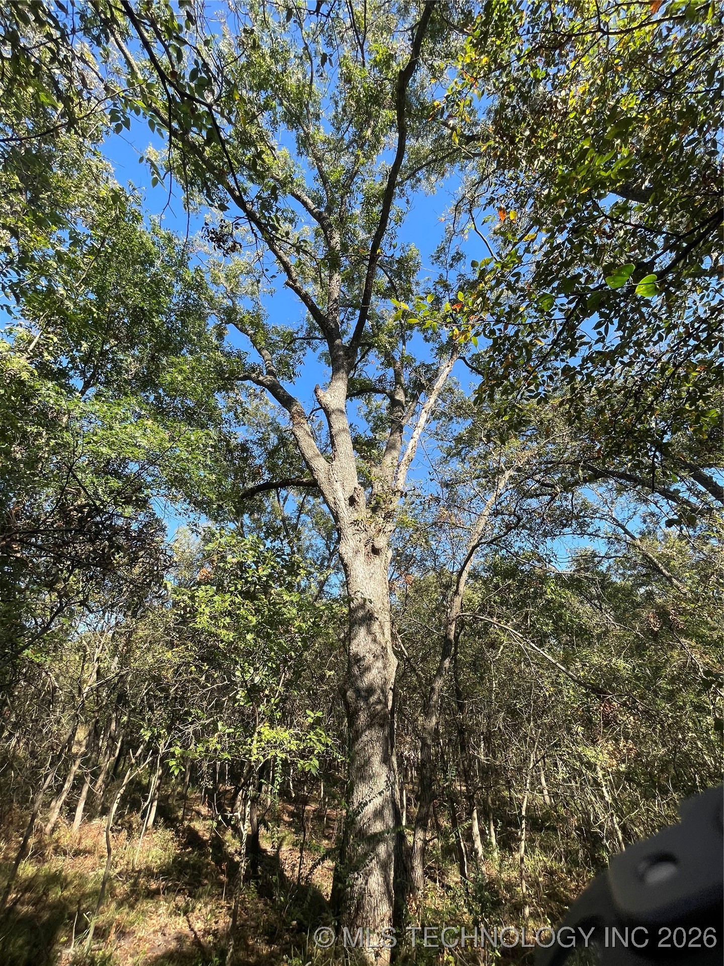 150 Road Property Photo 5