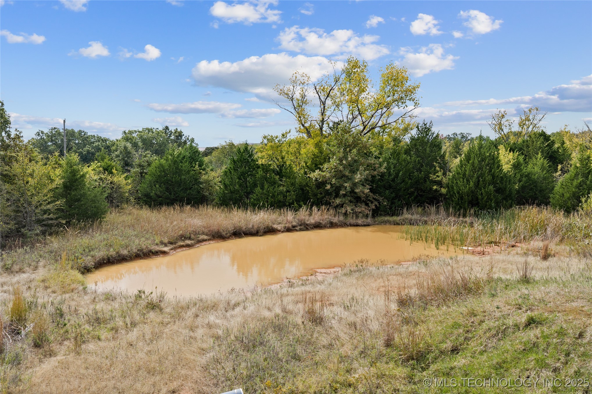58 Smokey Ridge Road Property Photo 18