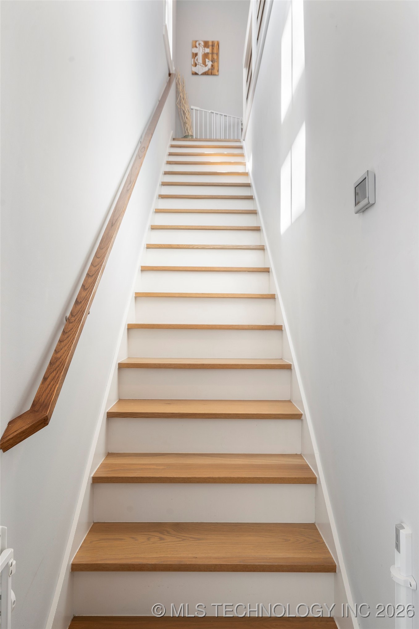 20 Redbud Street C Property Photo 37