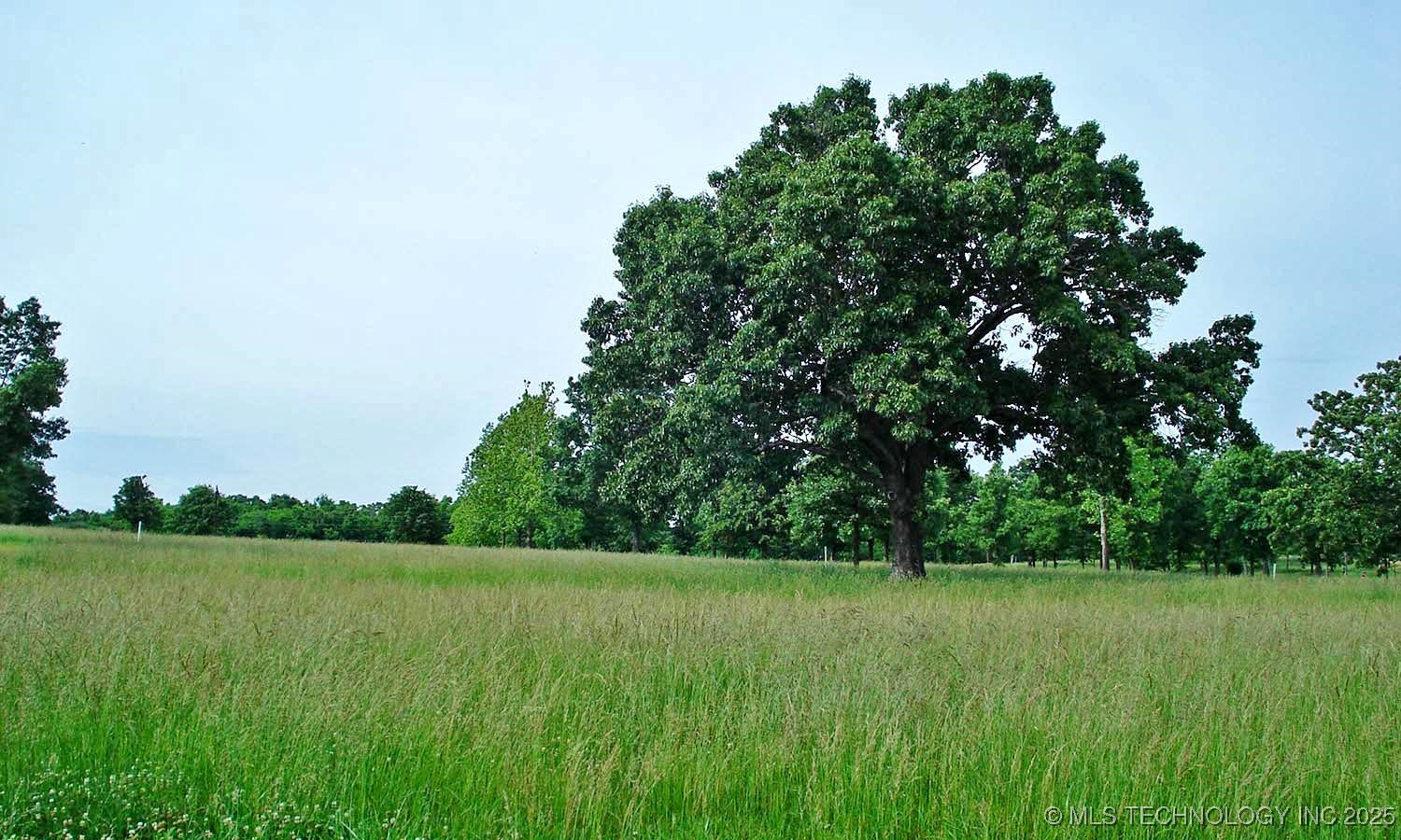 1216 Watercolor Drive Property Photo 12