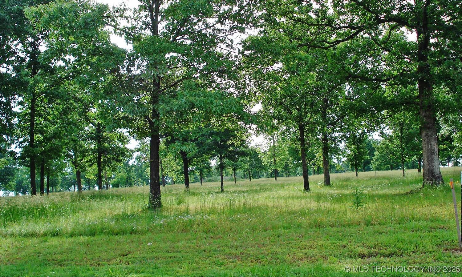 929 Watercolor Drive Property Photo 19