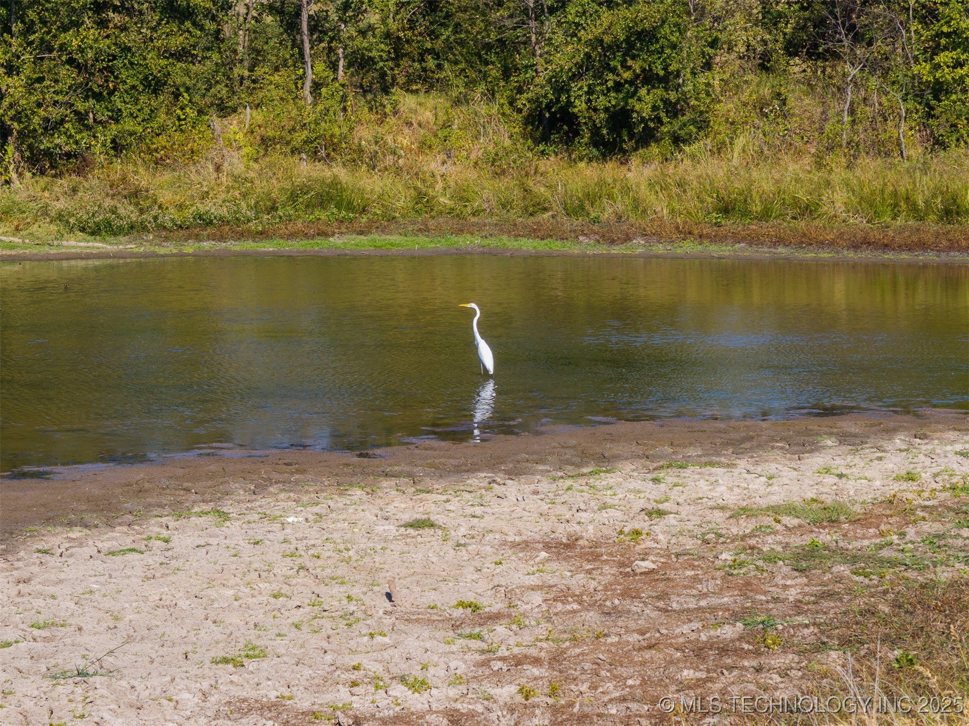 2 Ash Road Property Photo 47