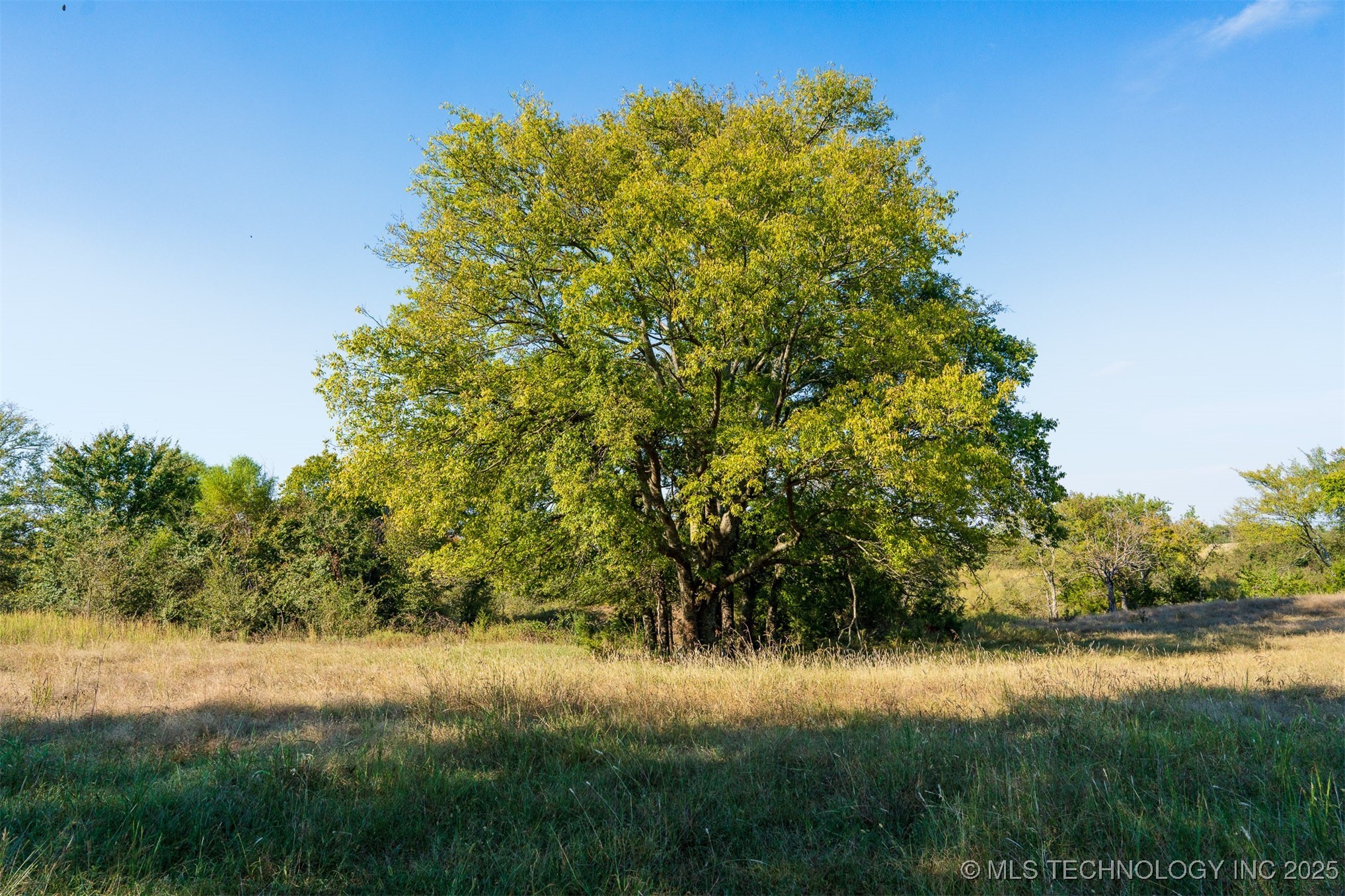 2 Ash Road Property Photo 66