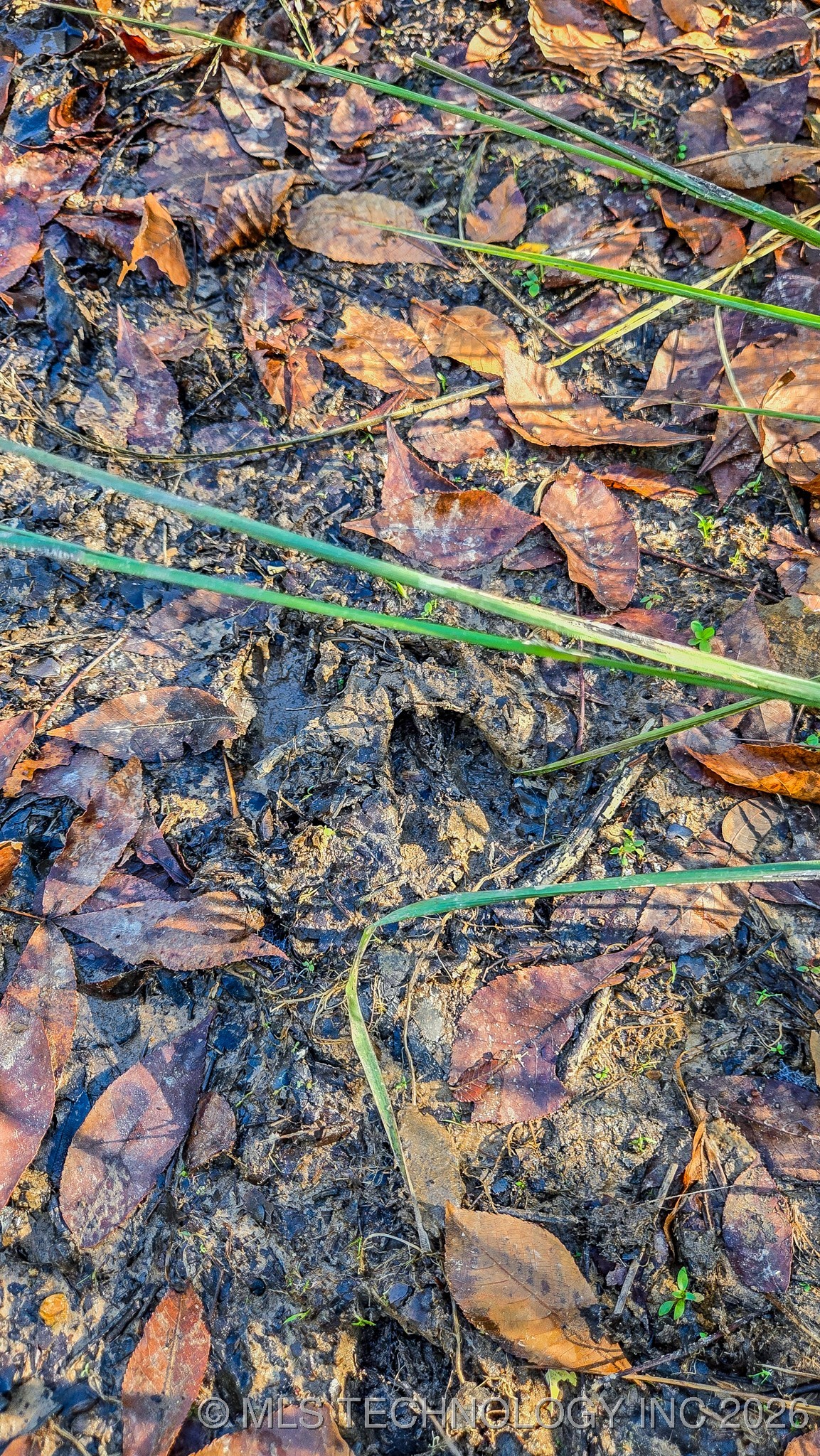 S 4270 Road Property Photo 3