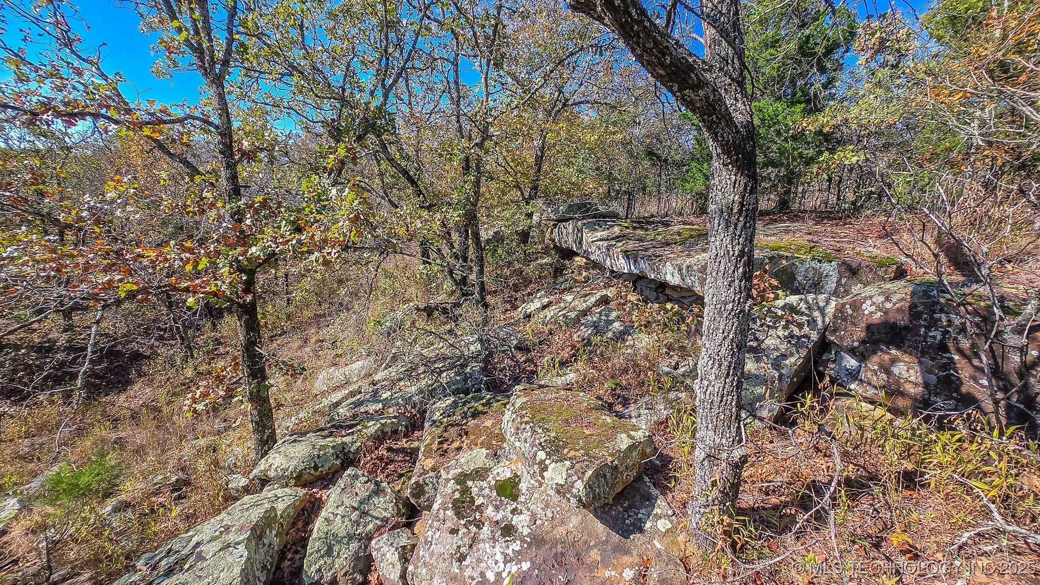 S 4270 Road Property Photo 4