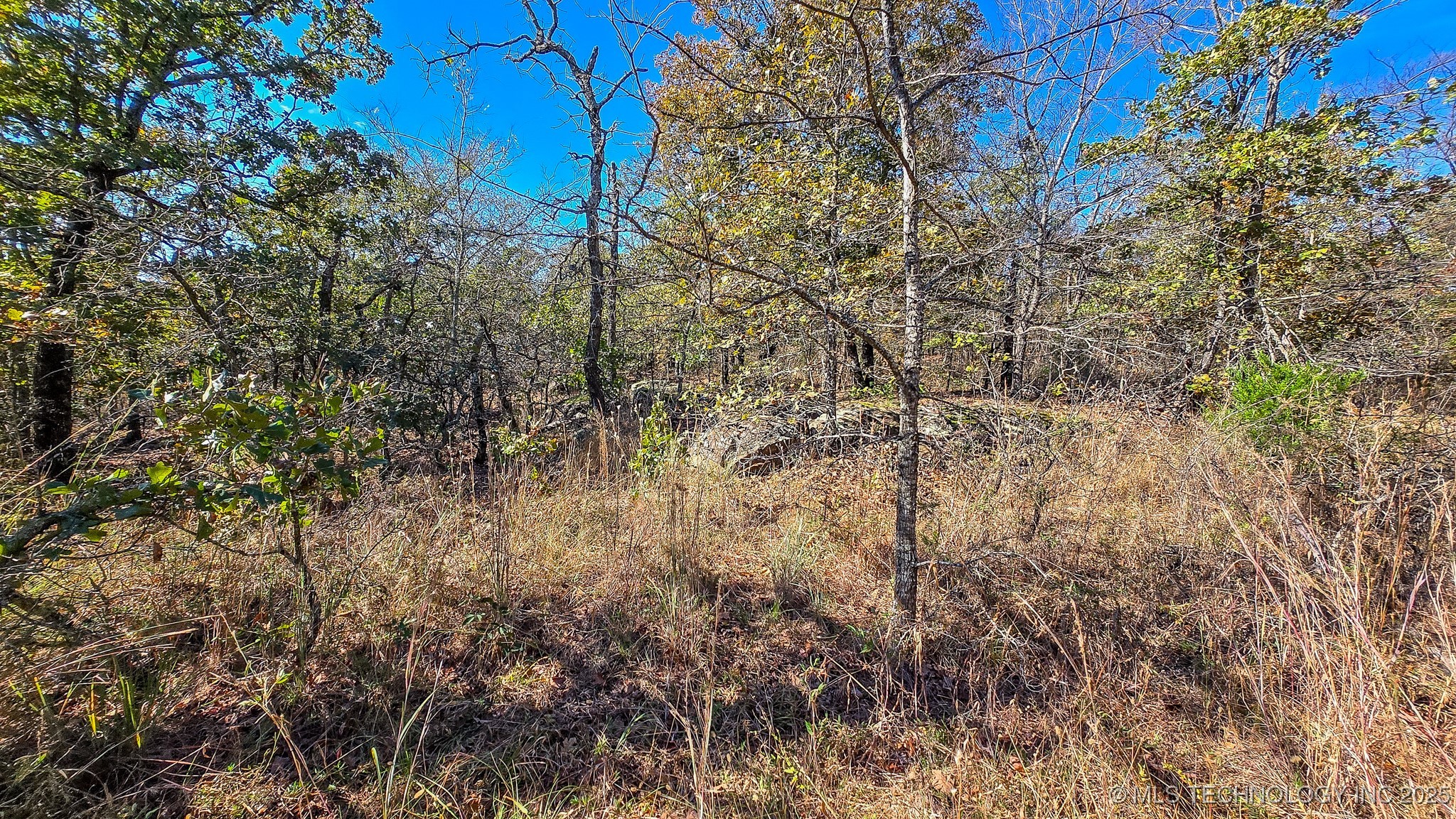 S 4270 Road Property Photo 15