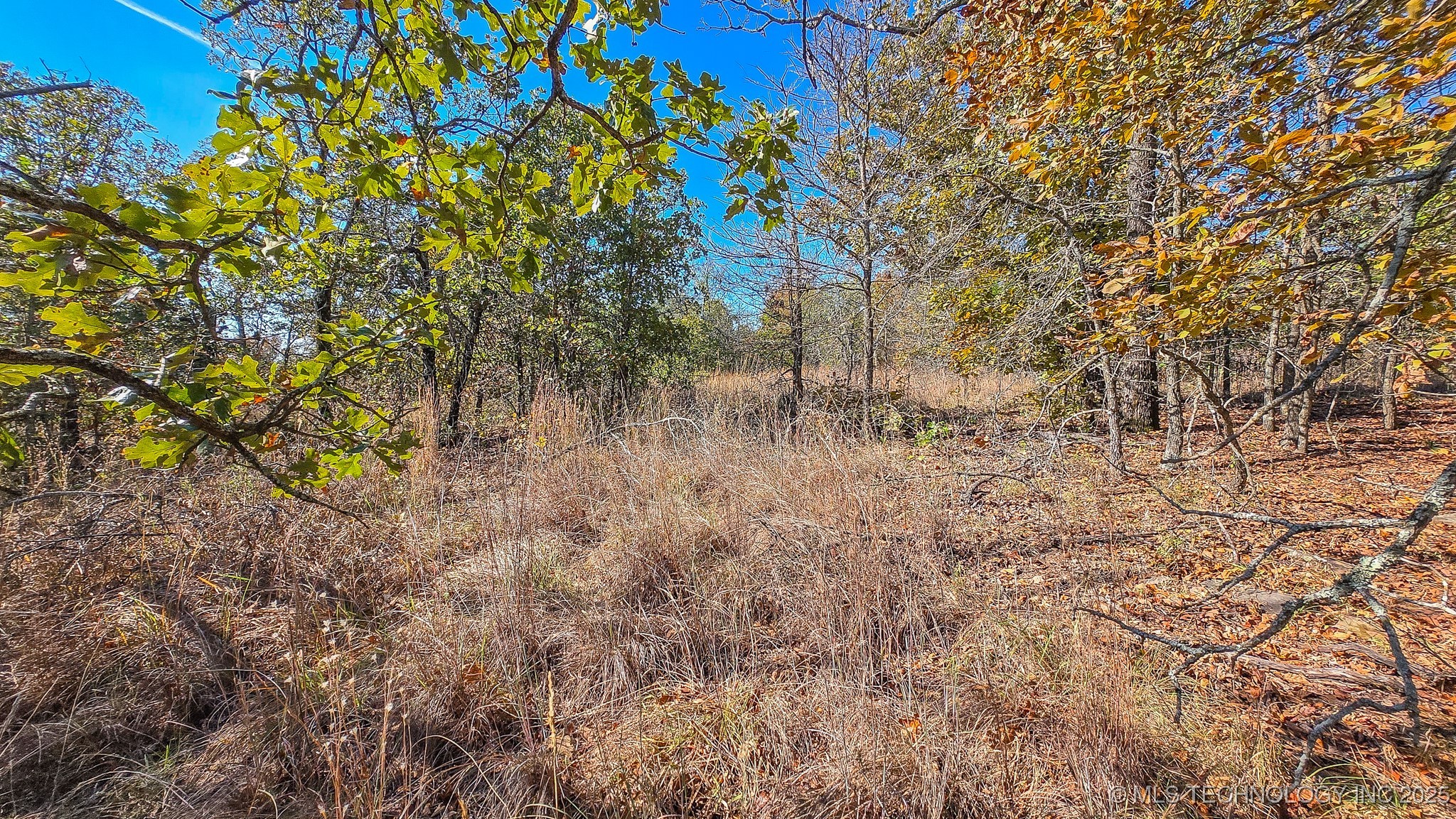 S 4270 Road Property Photo 17