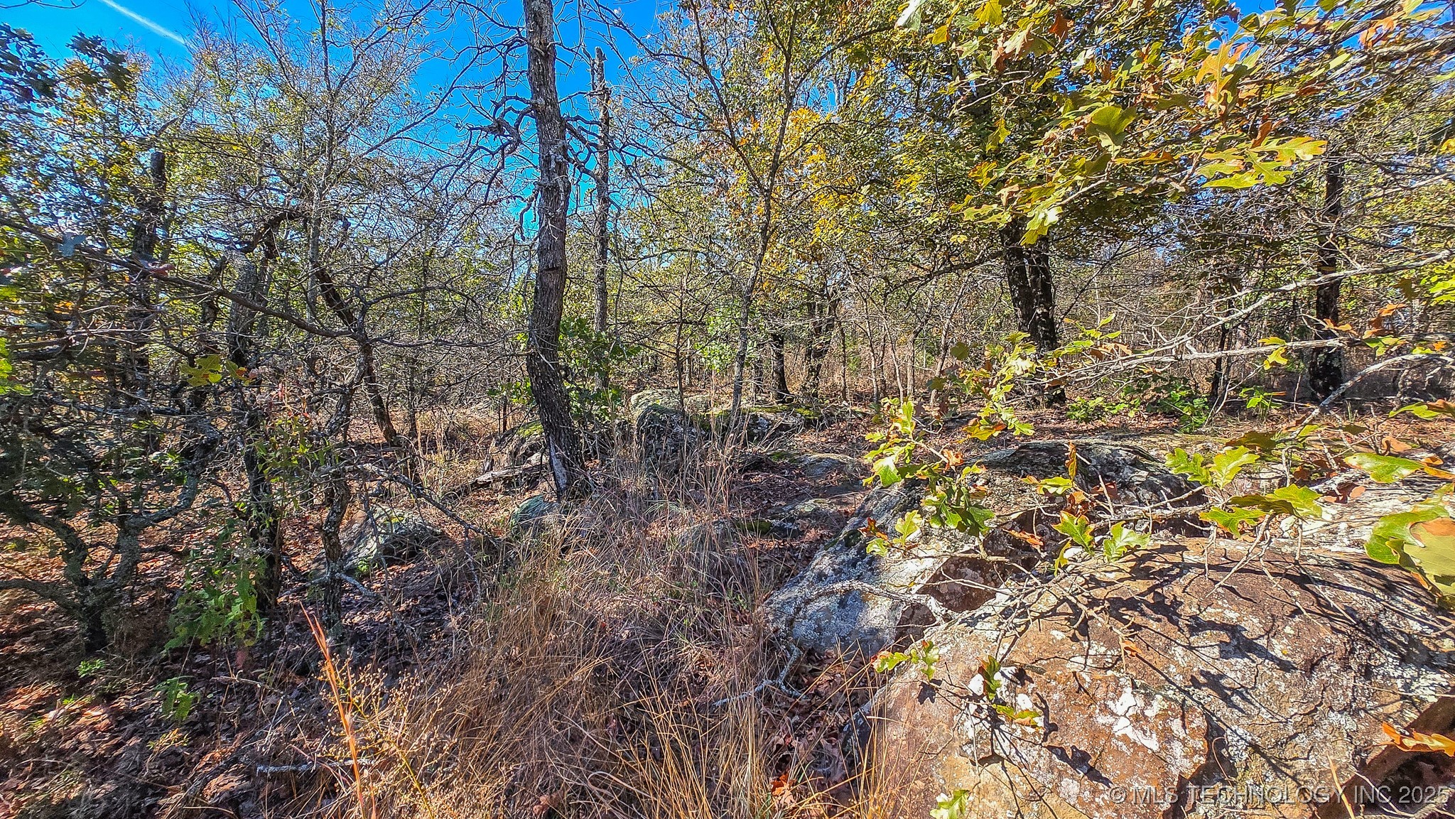 S 4270 Road Property Photo 18