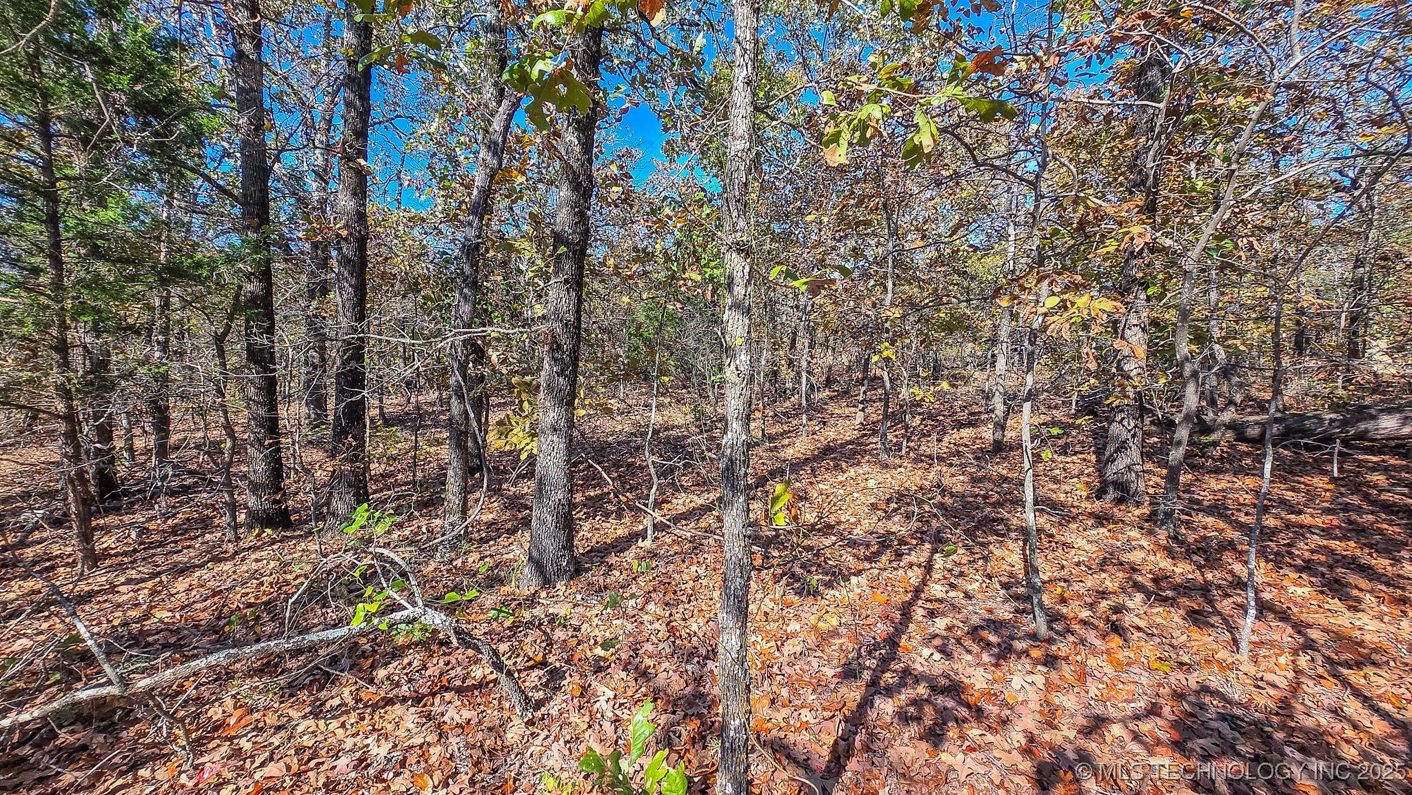 S 4270 Road Property Photo 20