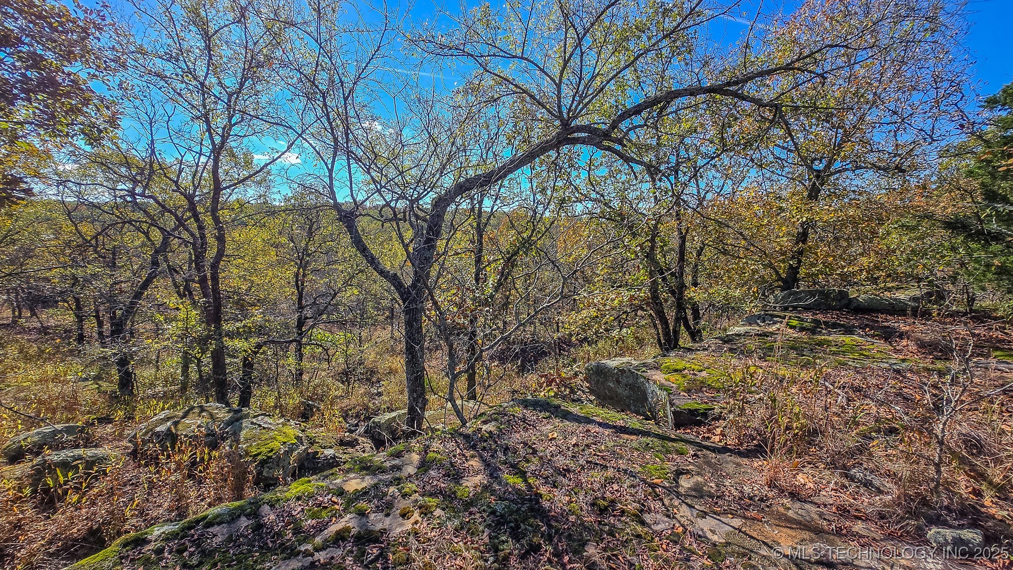 S 4270 Road Property Photo 21