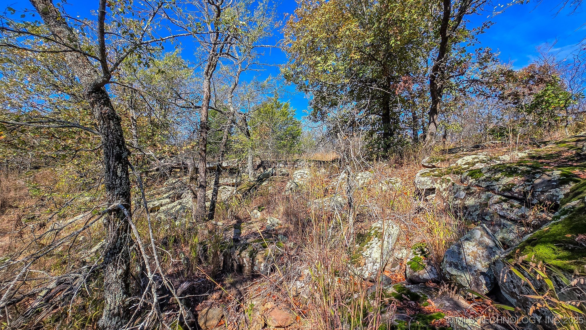 S 4270 Road Property Photo 23