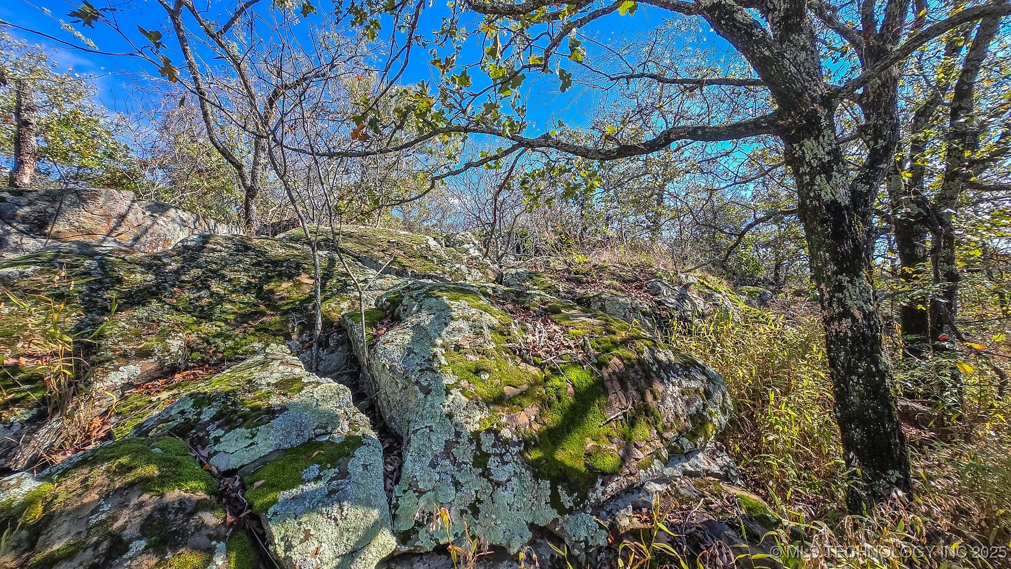 S 4270 Road Property Photo 24