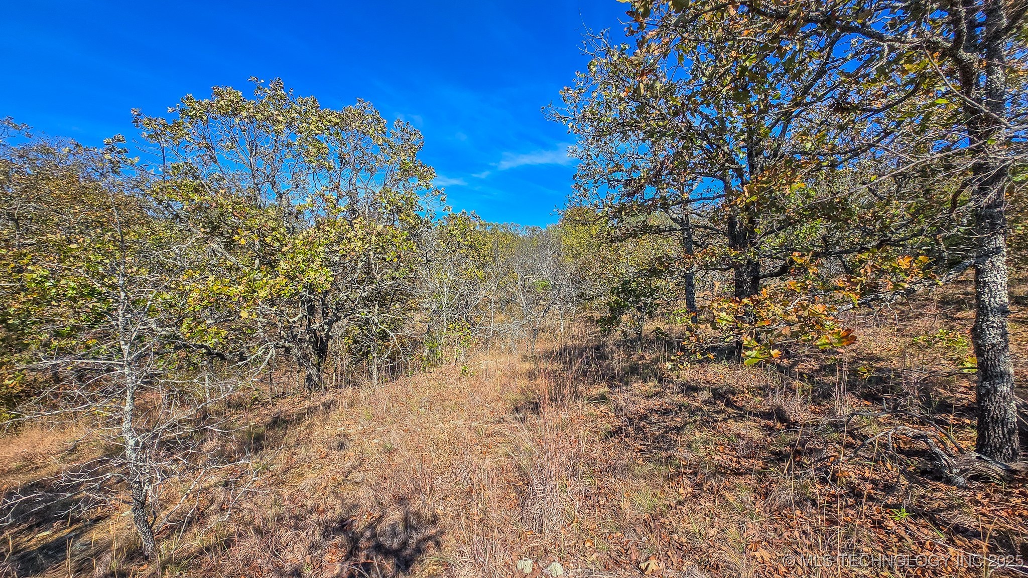 S 4270 Road Property Photo 29