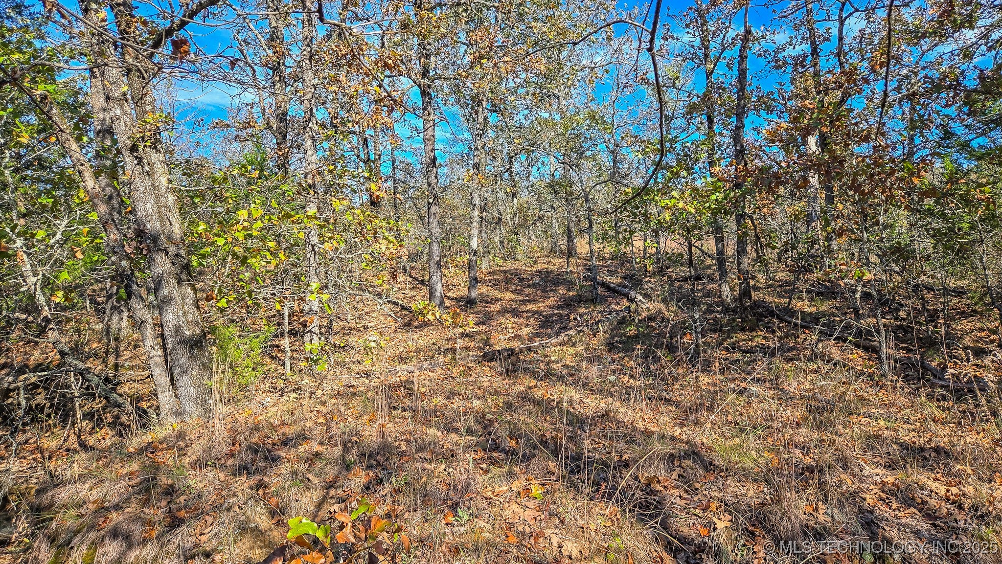 S 4270 Road Property Photo 34