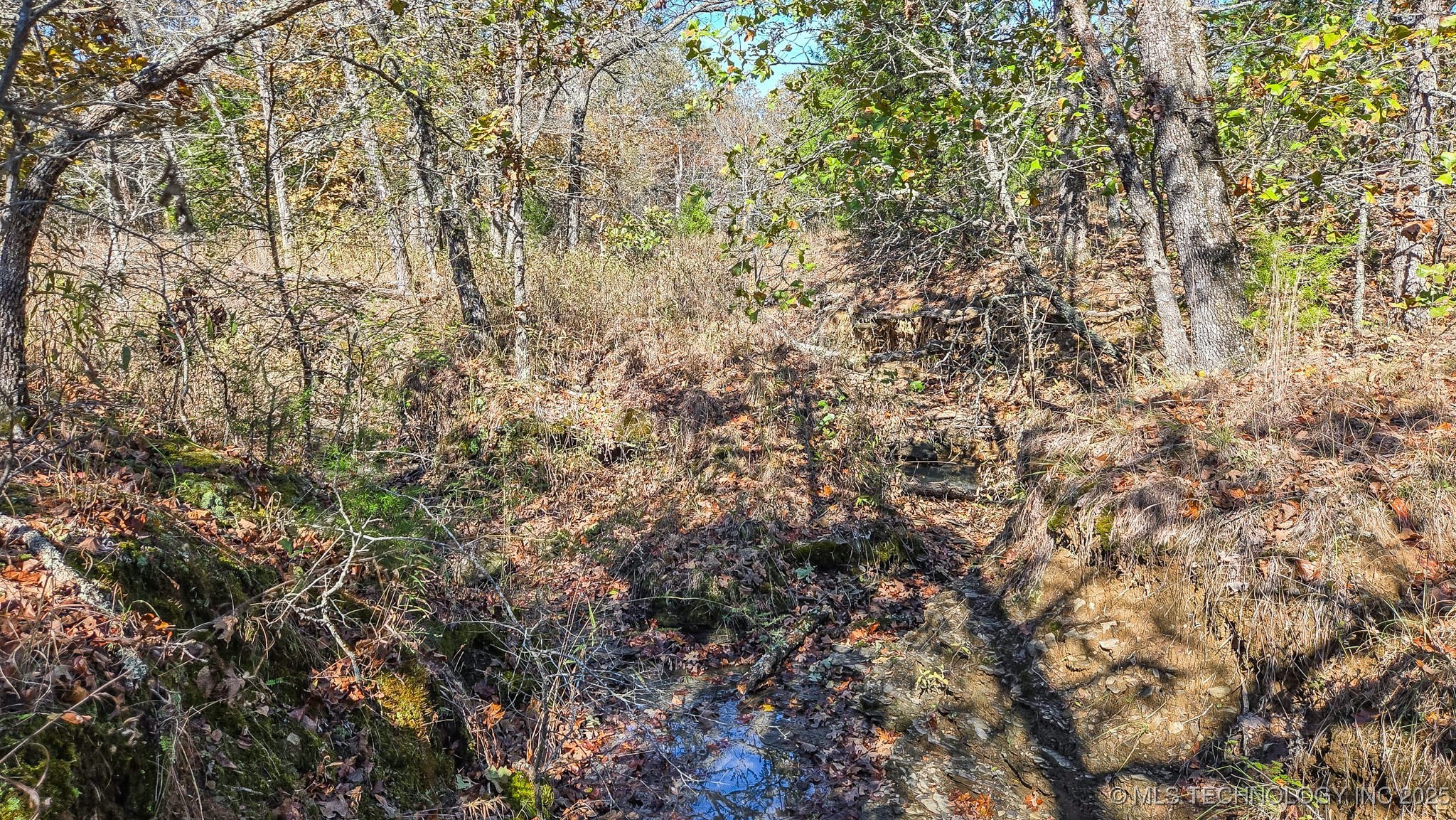 S 4270 Road Property Photo 36