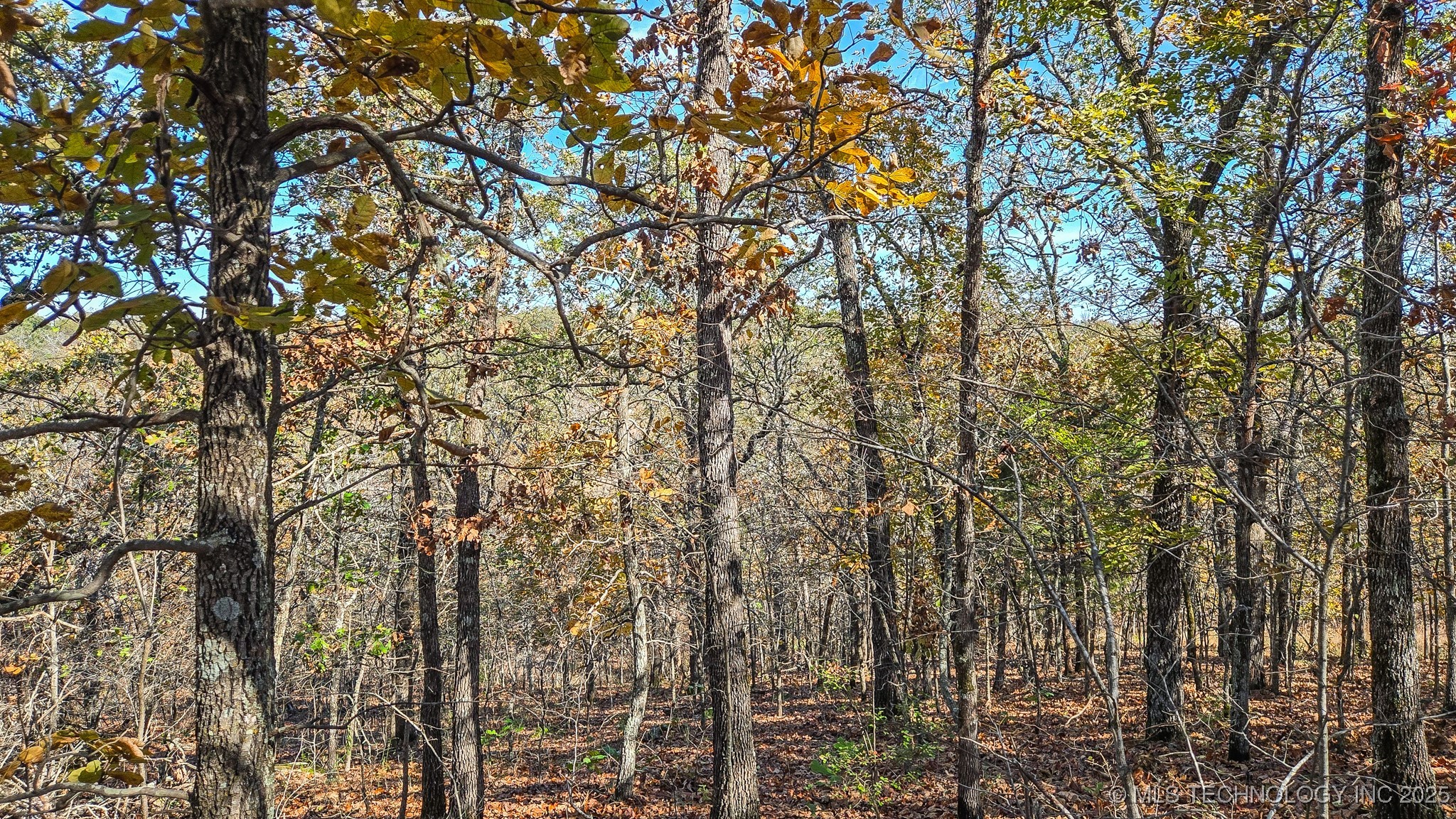 S 4270 Road Property Photo 37