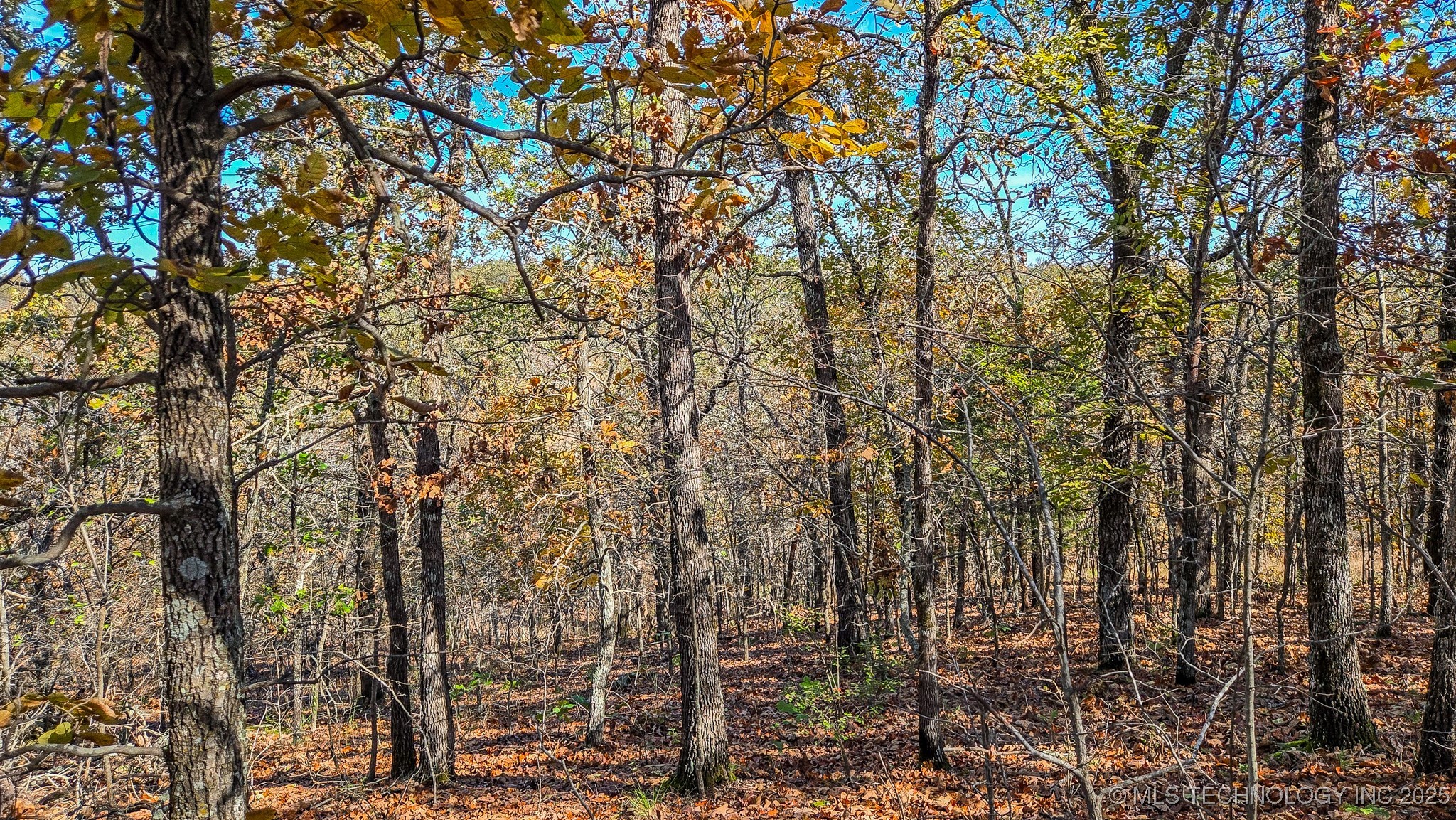 S 4270 Road Property Photo 38