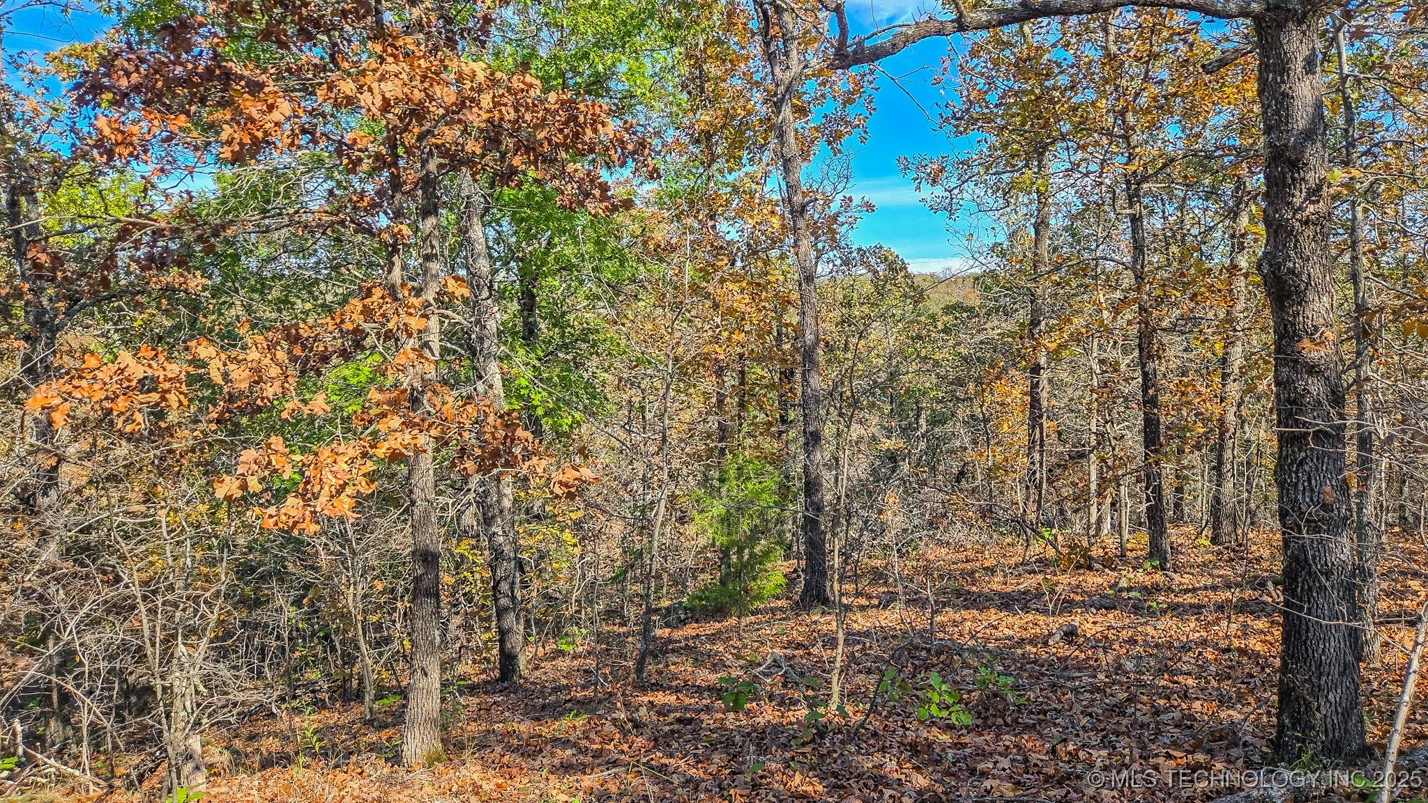 S 4270 Road Property Photo 39