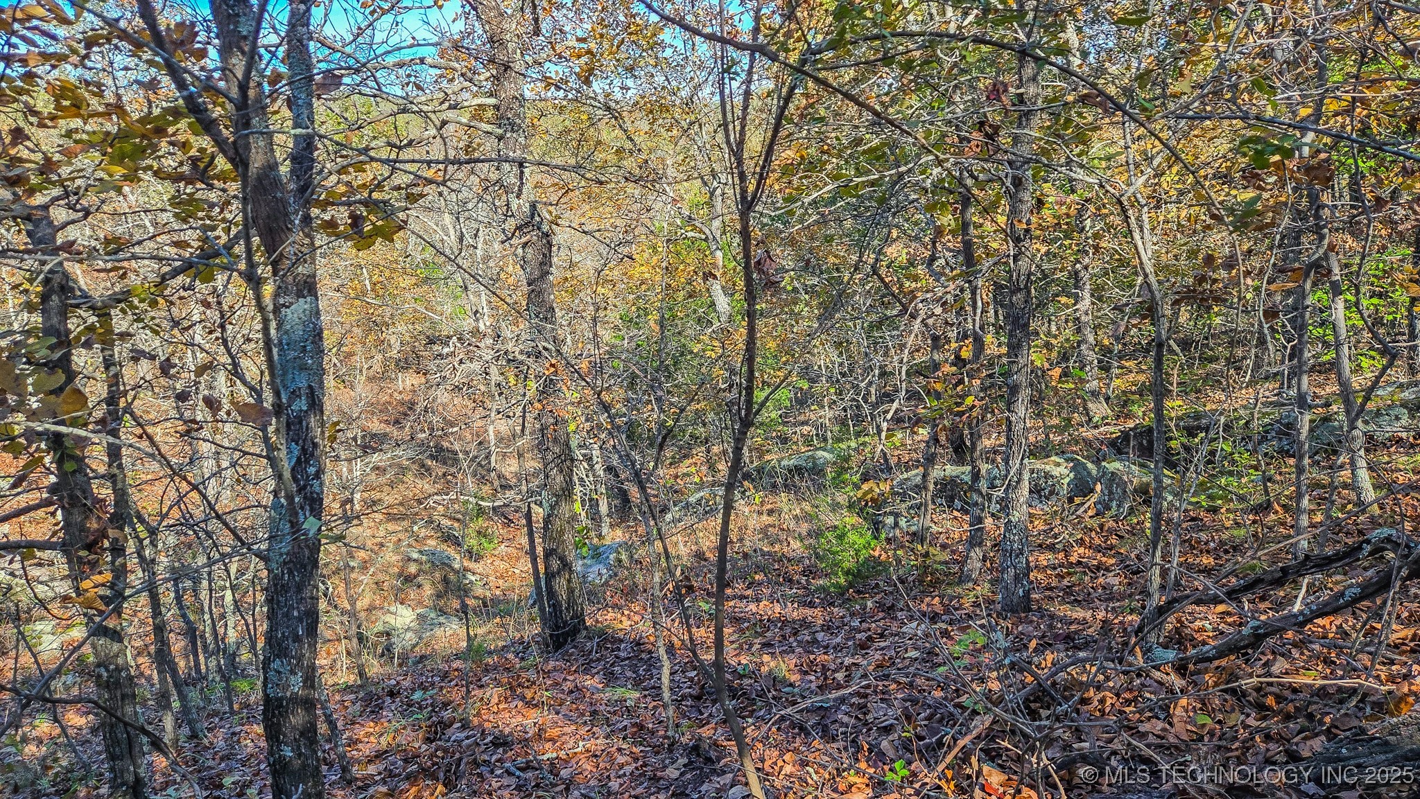 S 4270 Road Property Photo 40