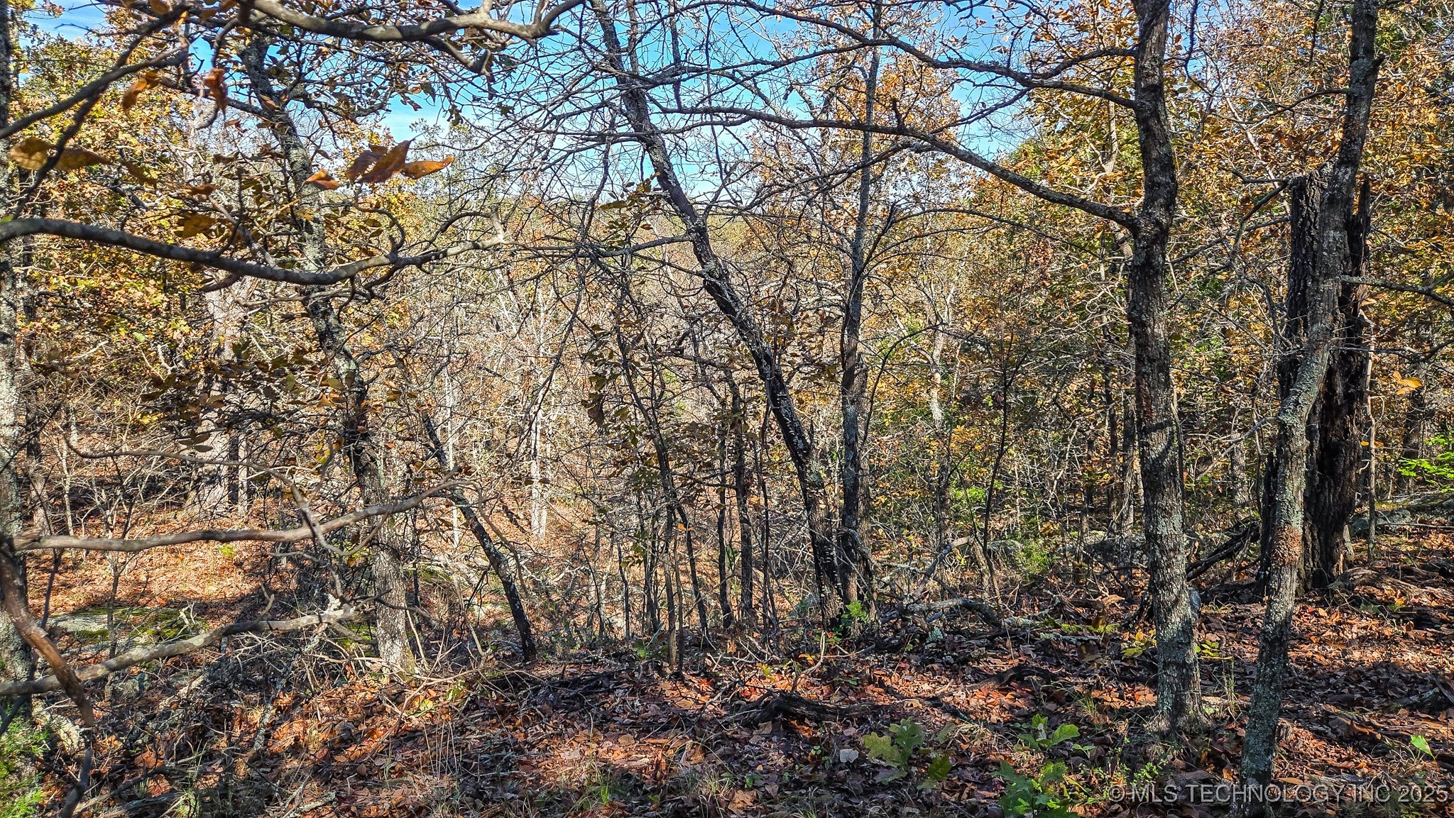 S 4270 Road Property Photo 41