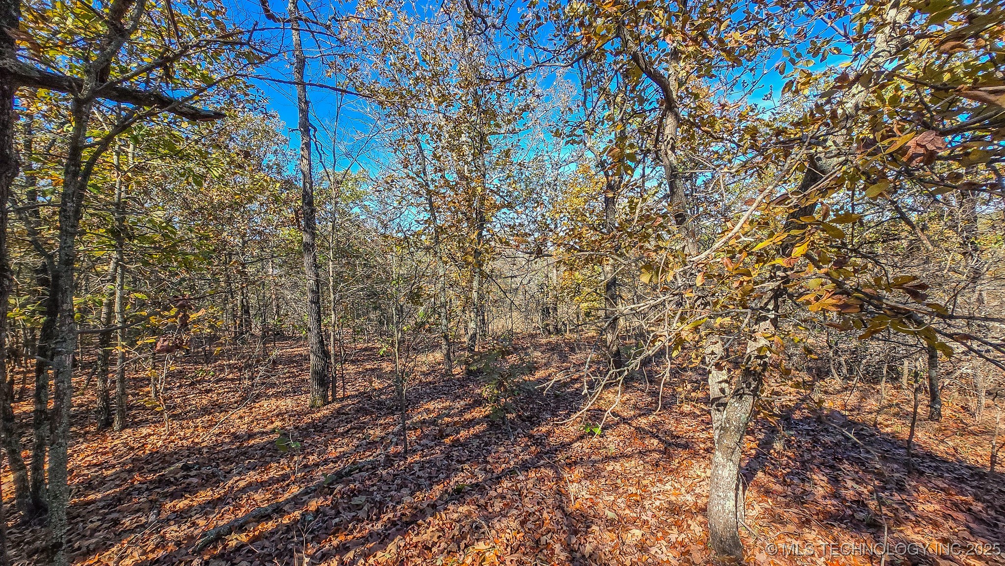 S 4270 Road Property Photo 42