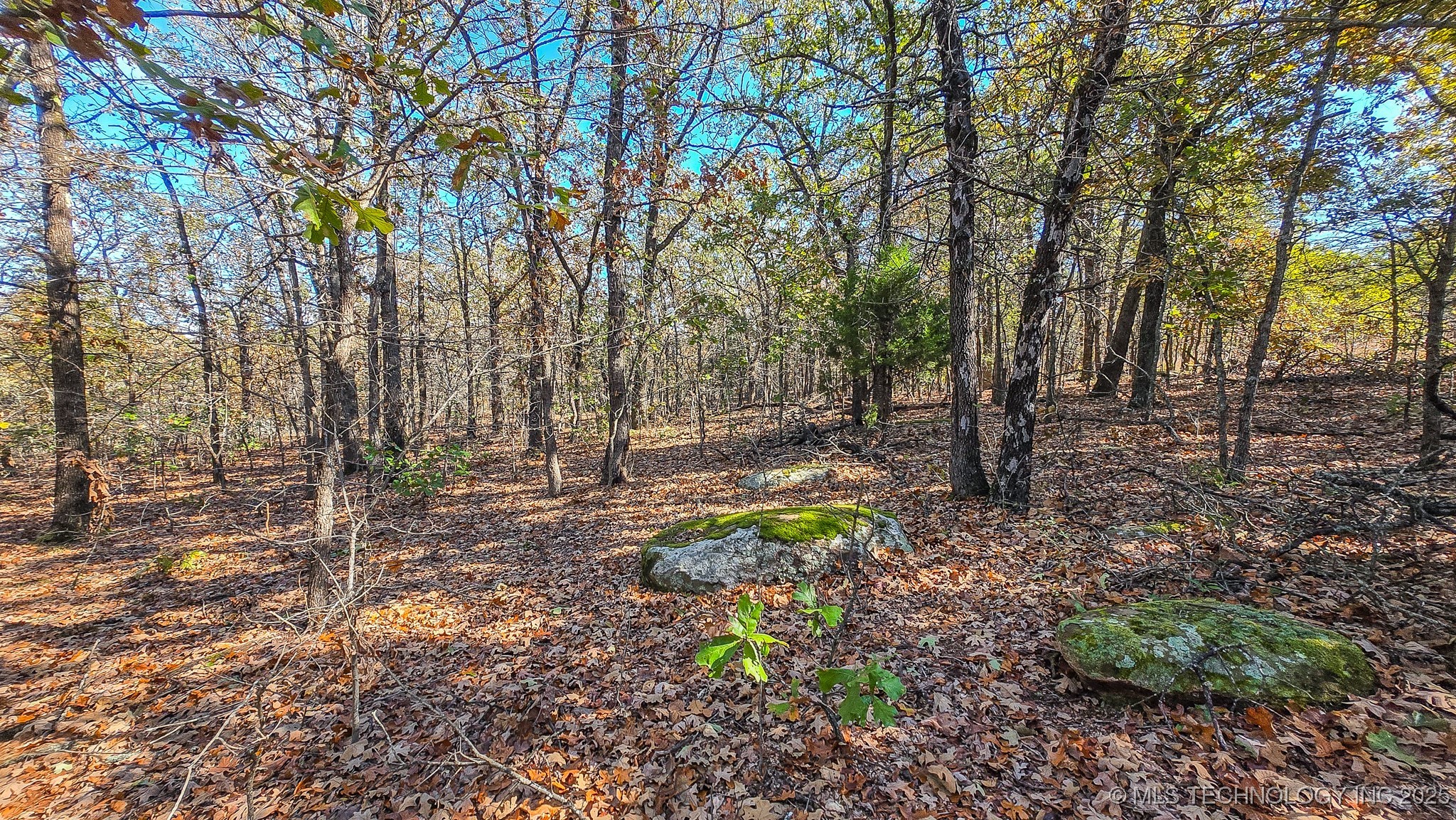 S 4270 Road Property Photo 43