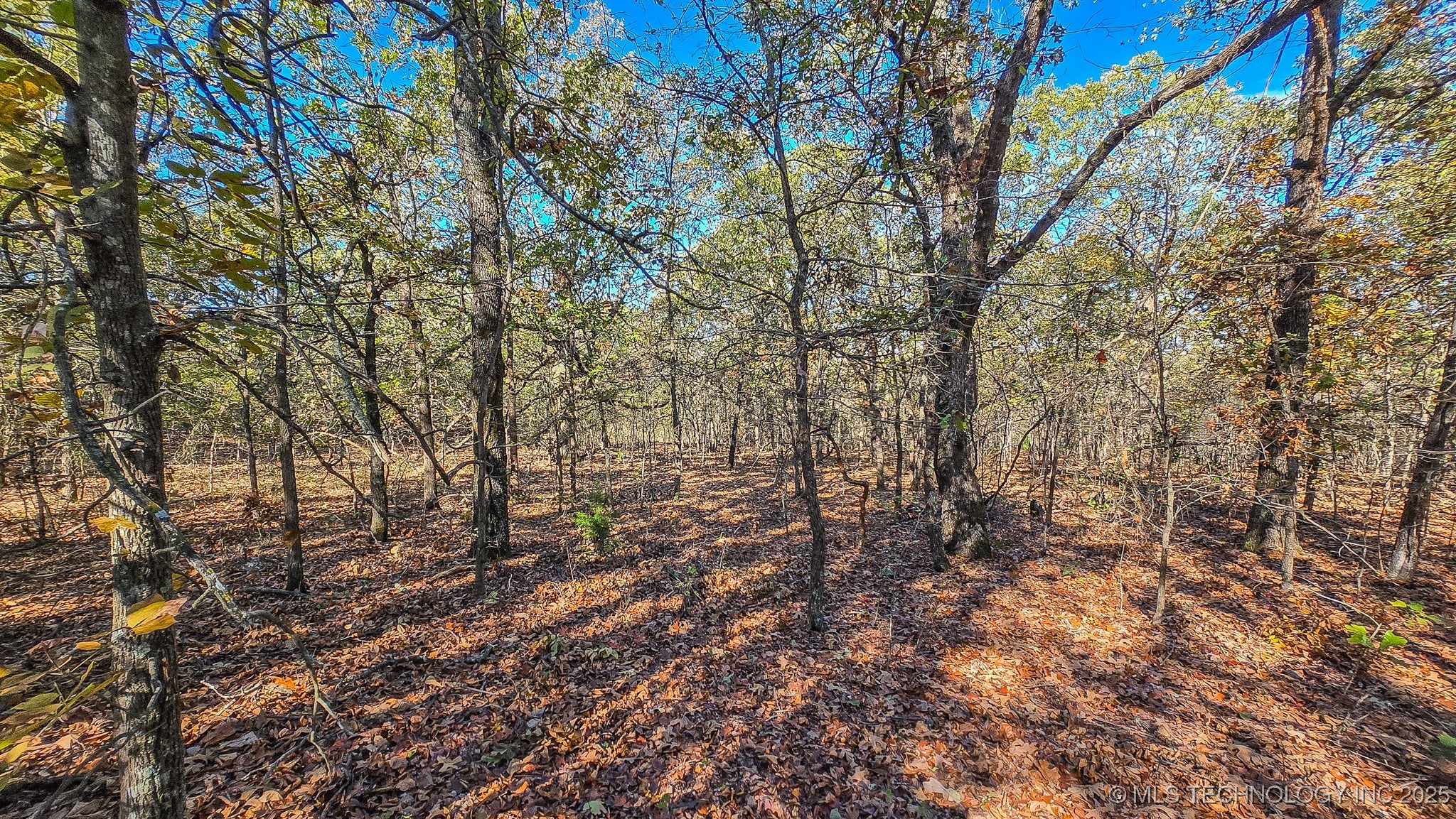 S 4270 Road Property Photo 44