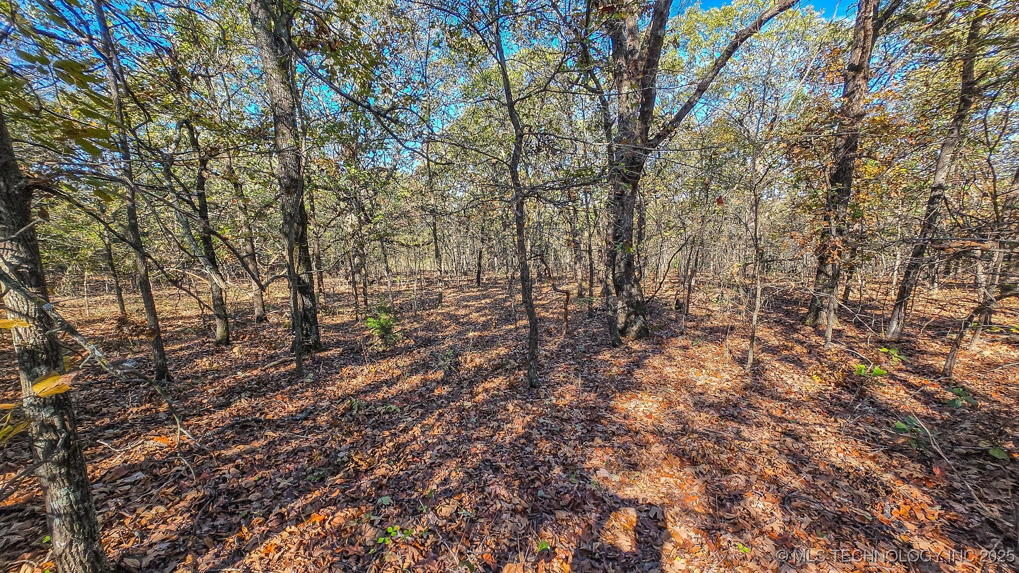 S 4270 Road Property Photo 45