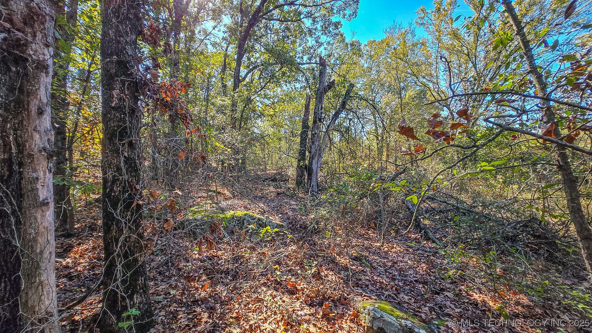 S 4270 Road Property Photo 46