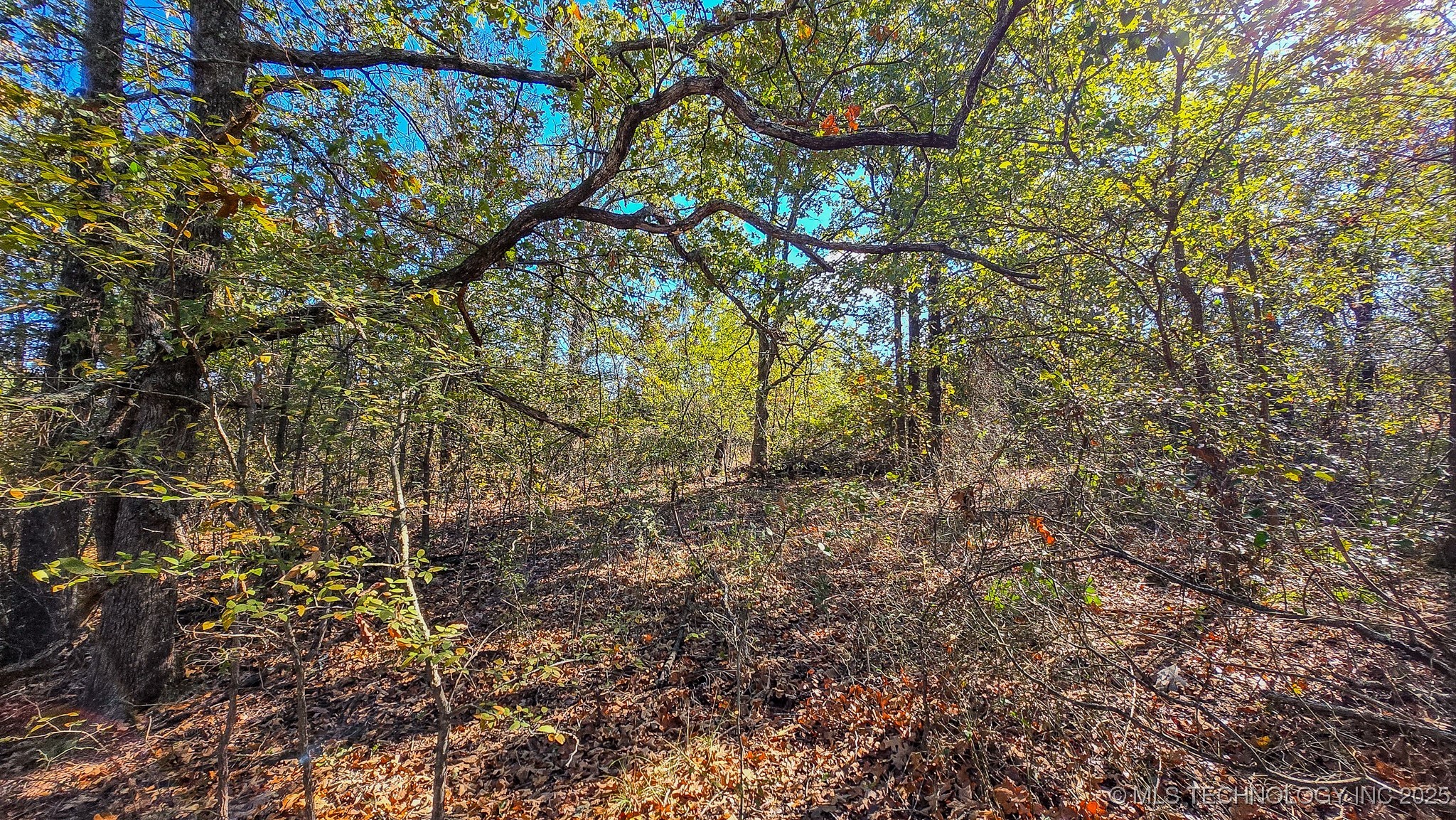 S 4270 Road Property Photo 48