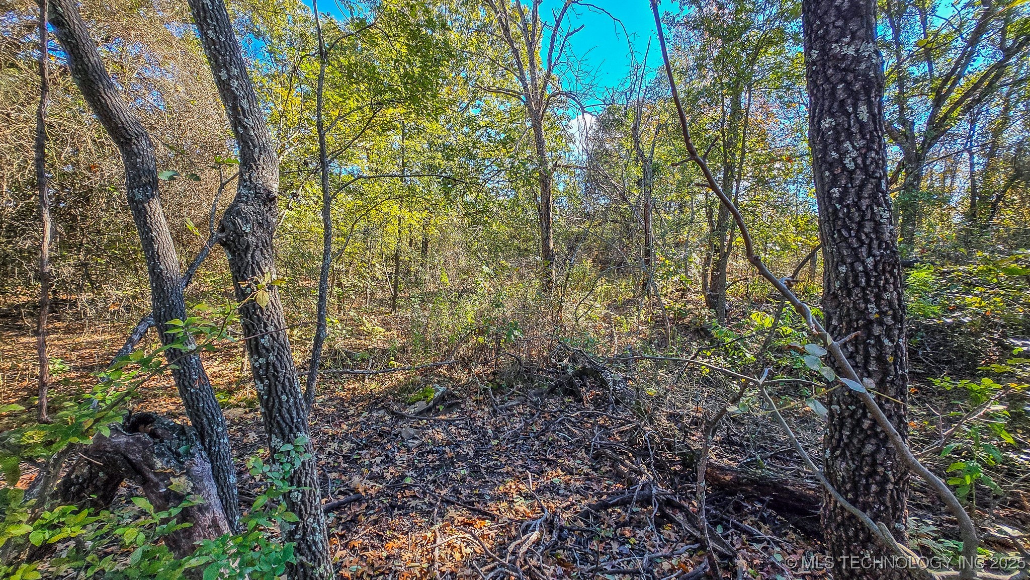 S 4270 Road Property Photo 49