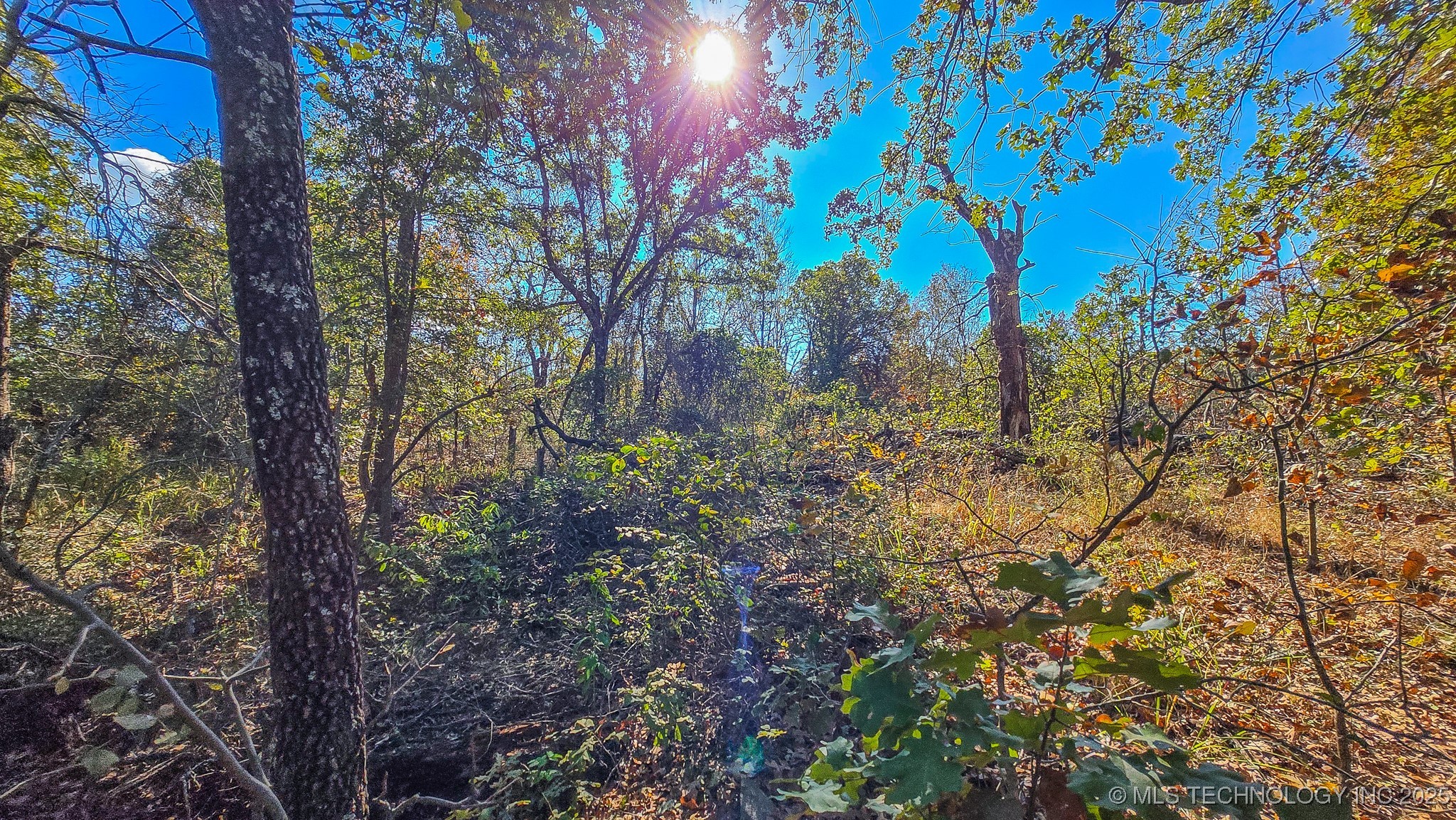 S 4270 Road Property Photo 50