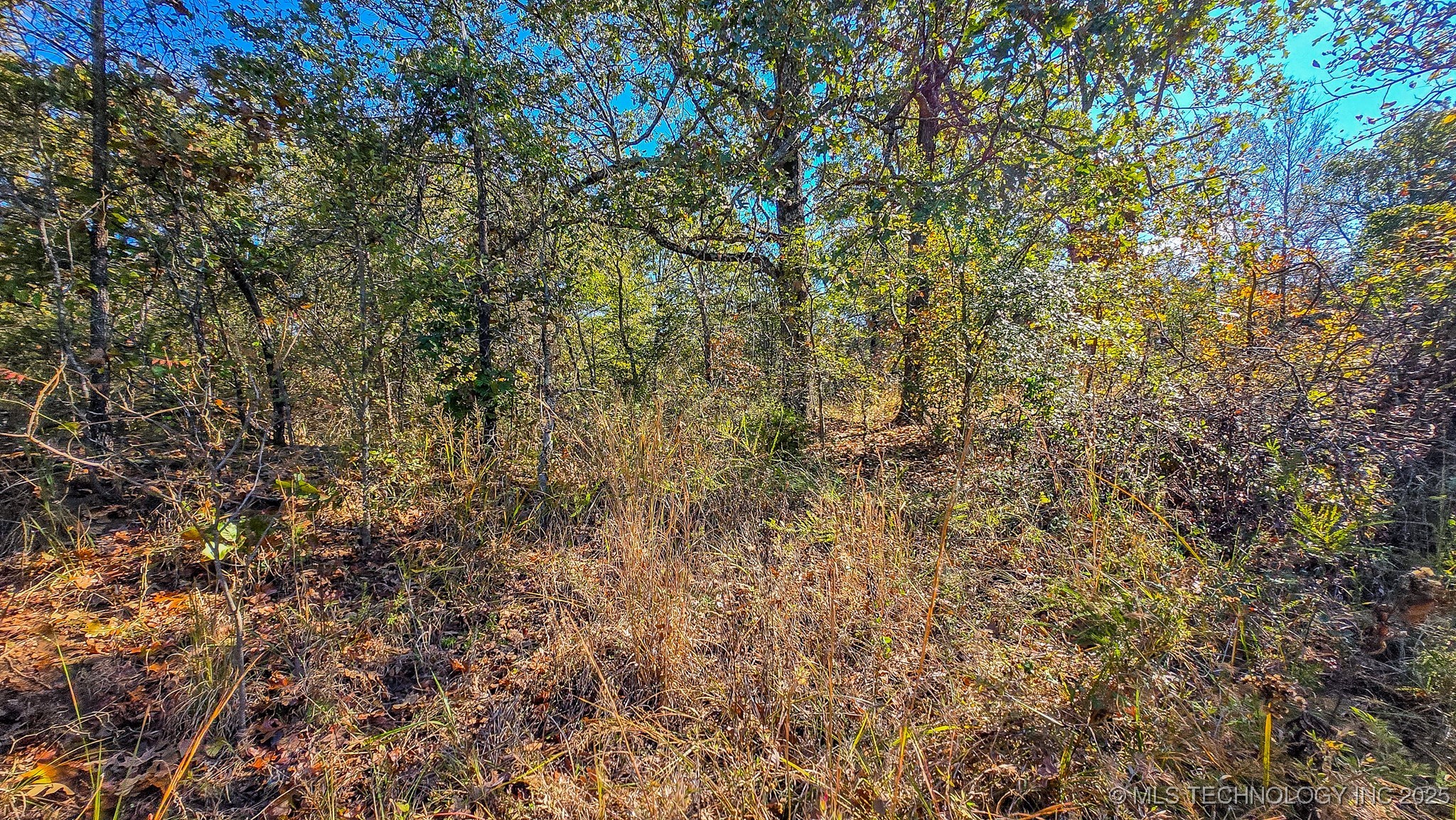 S 4270 Road Property Photo 52