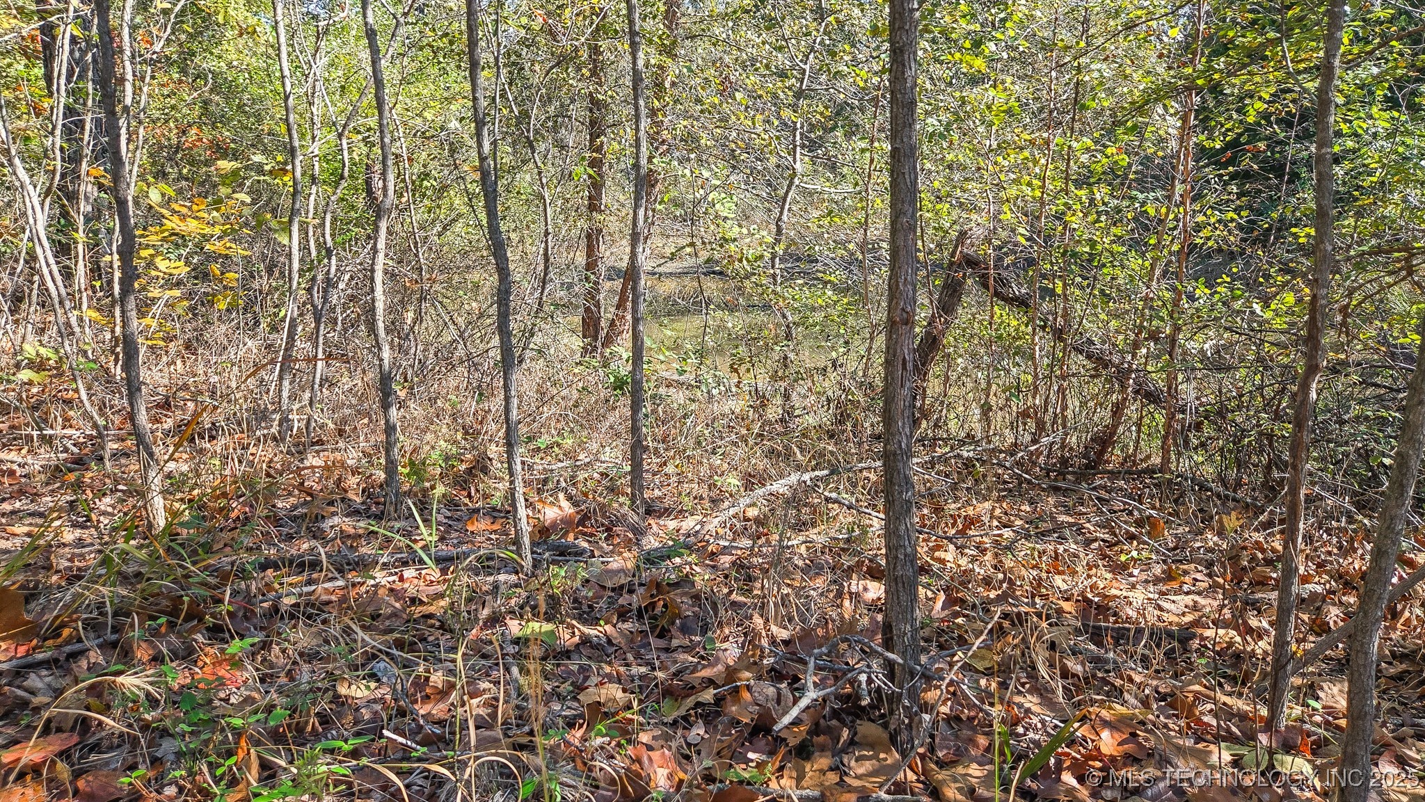 S 4270 Road Property Photo 57